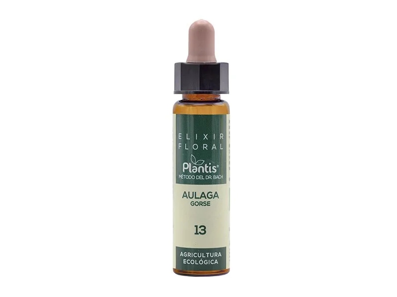 aulaga elixir floral.jpg