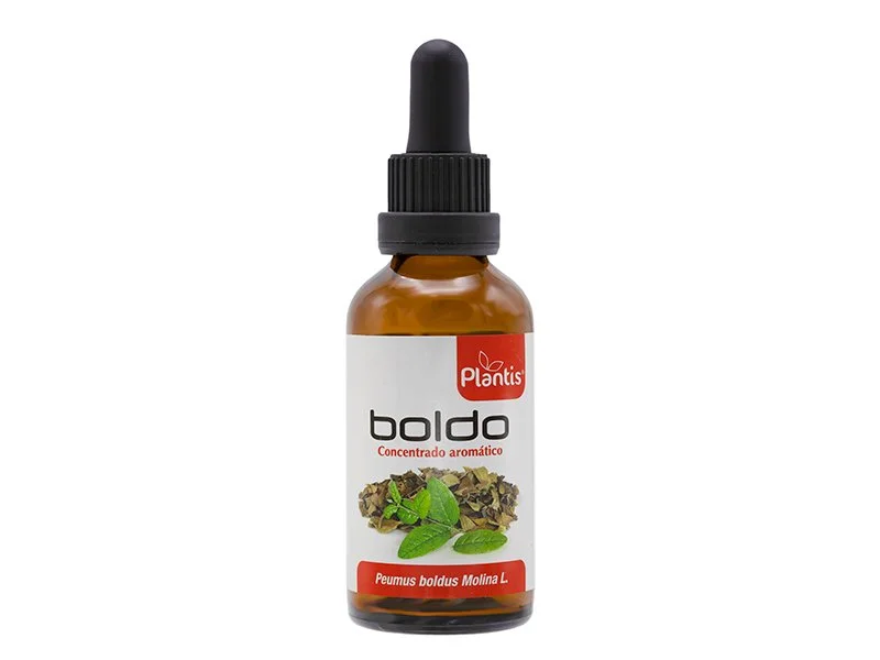 boldo-plantis.jpg