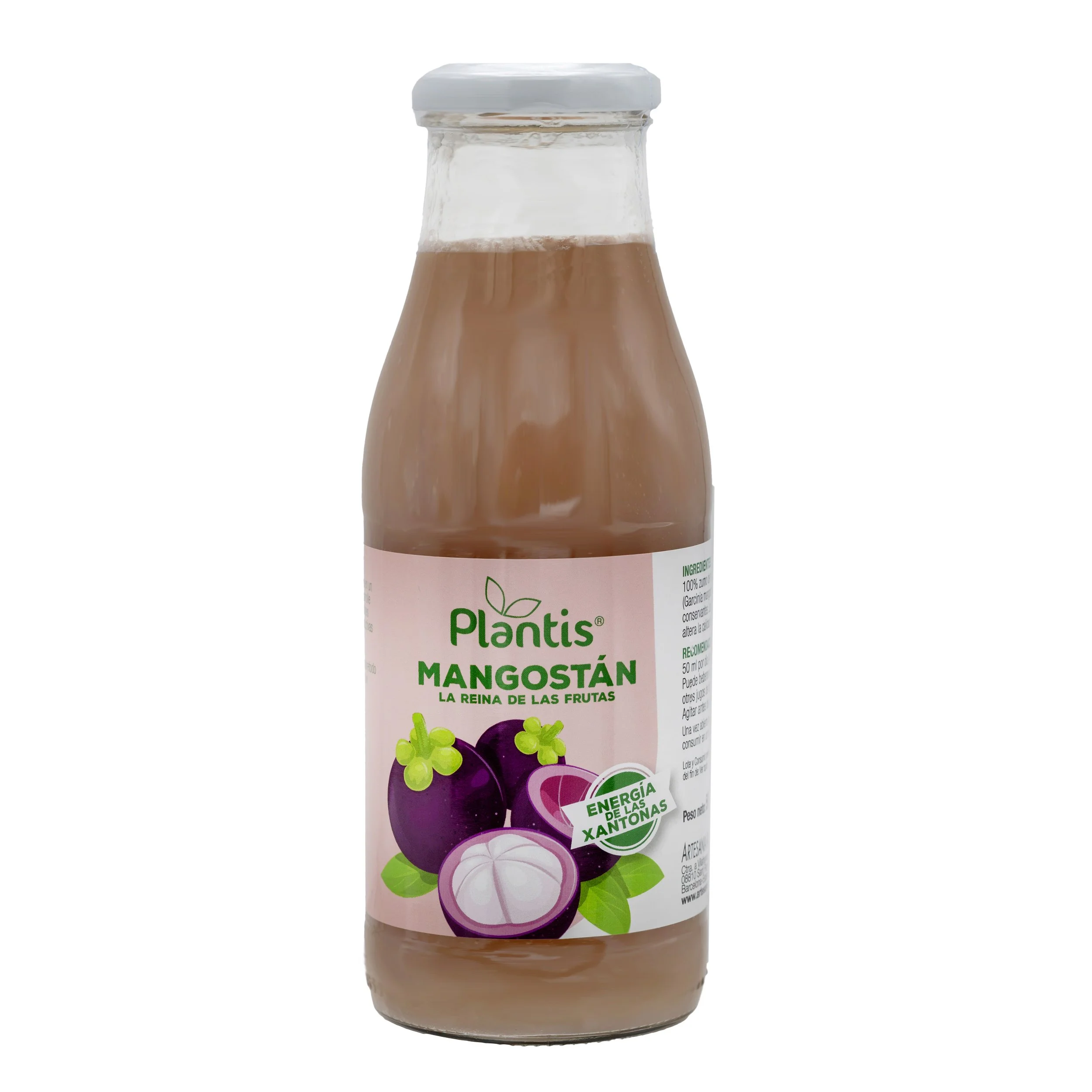 MANGOSTAN PLANTIS.jpg
