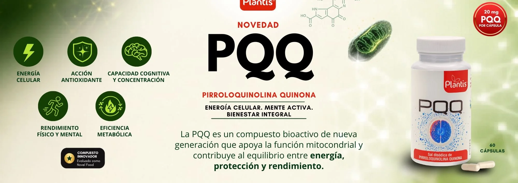 Banner web pqq Plantis INSTAGRAM (17 x 6 cm).jpg