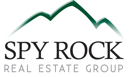 Spy-Rock-Logo.gif