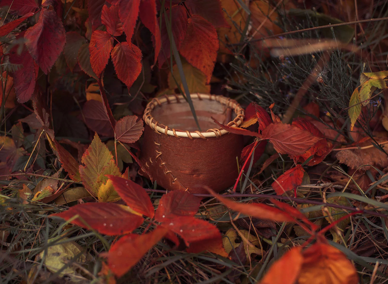 Melanie Goodchild_Birch Basket IV.jpg