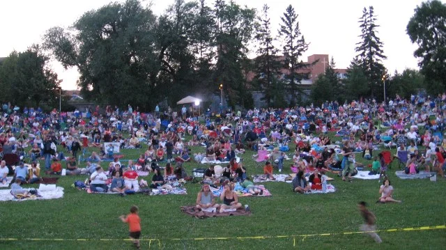 Movies in the Park Crowd