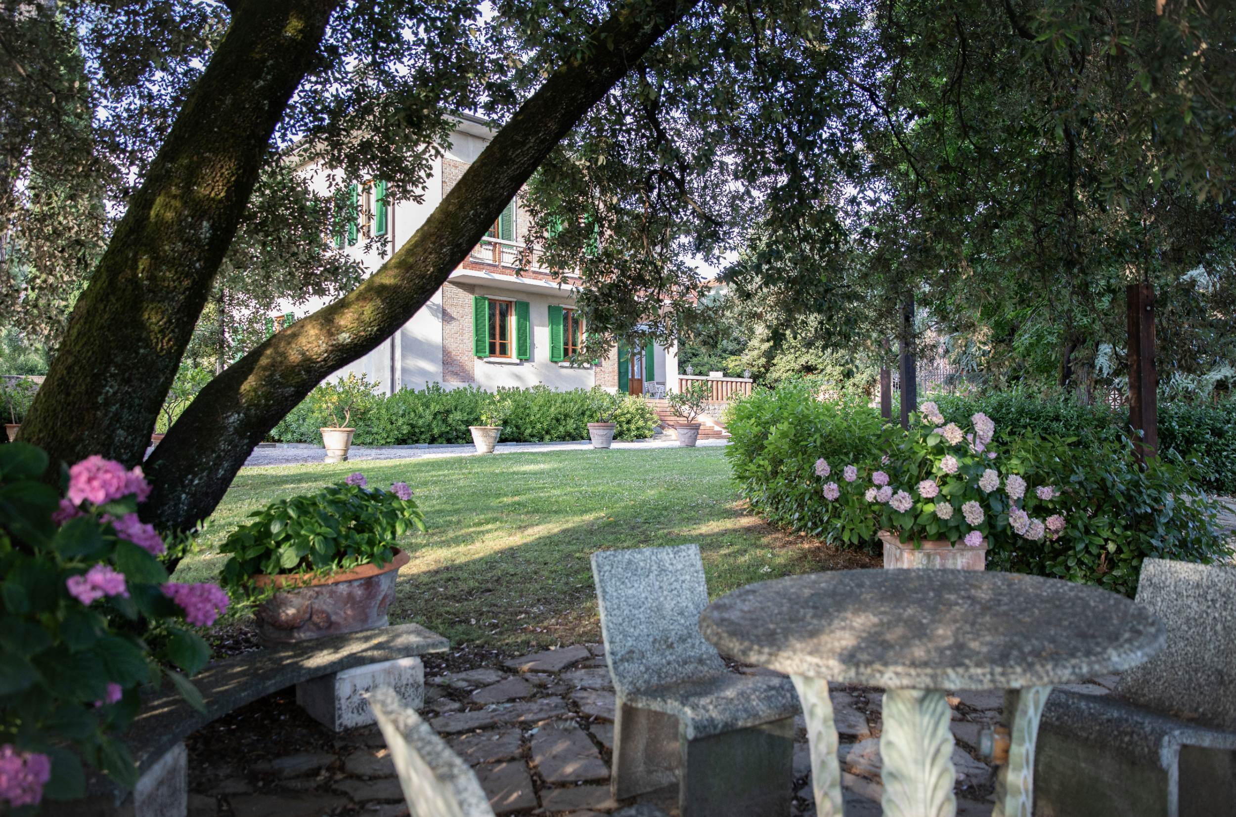 Screenshot 2026-03-01 at 12.46.56 PM.png