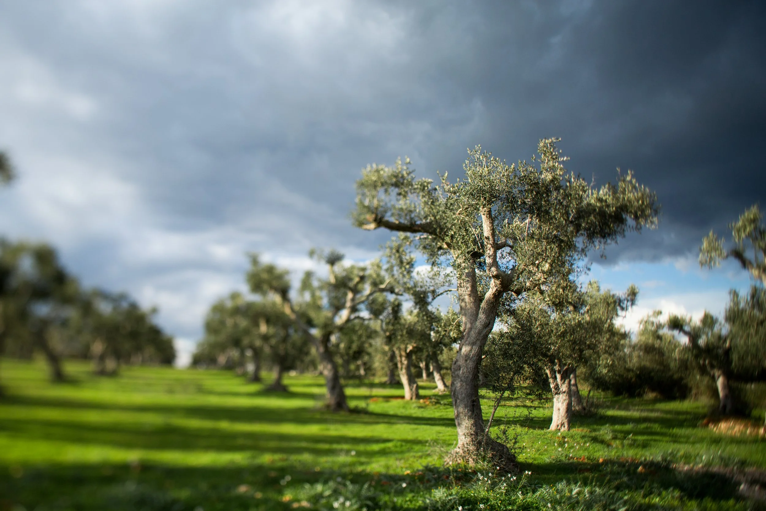 Lecce Italy_Capture_0030.jpg