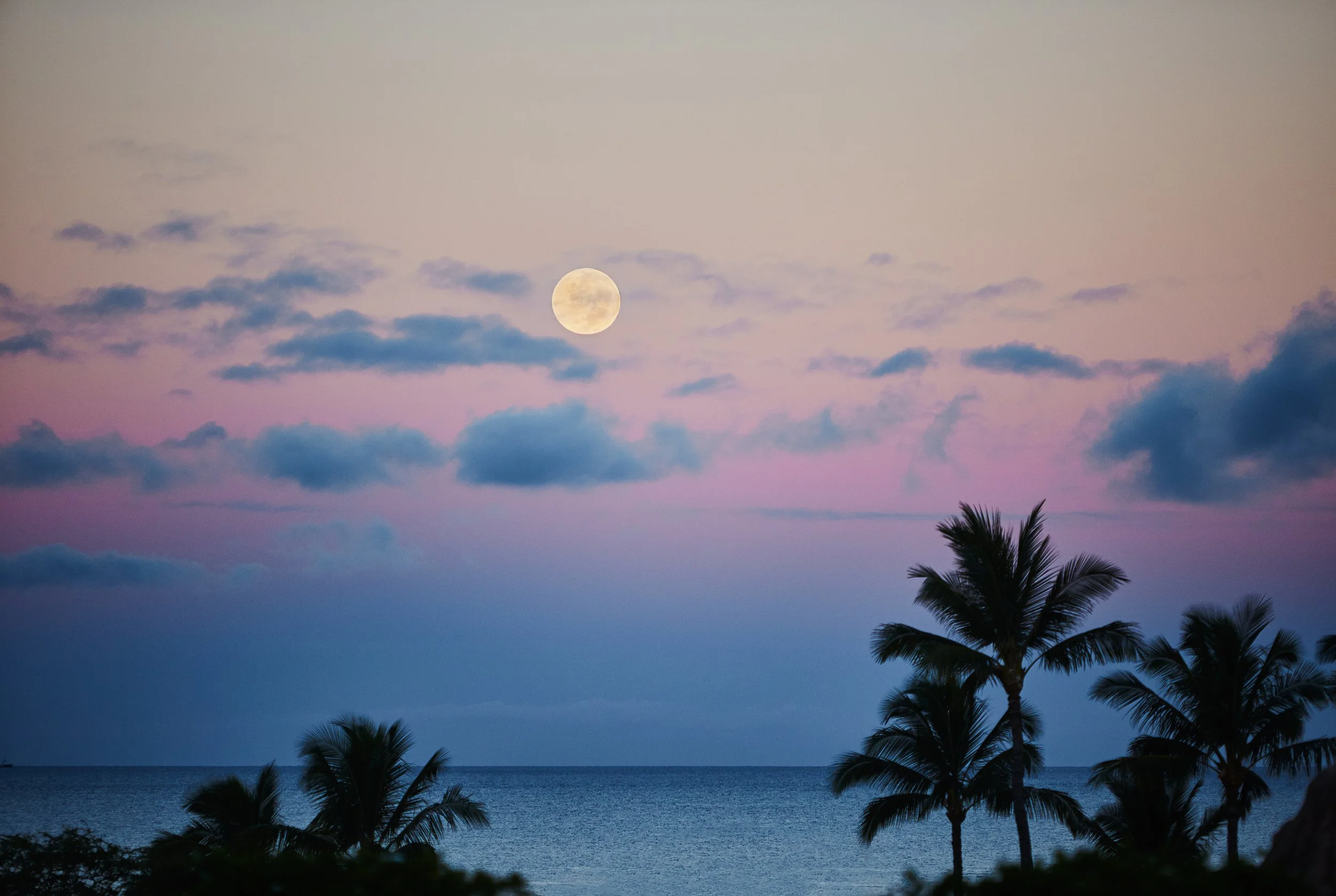 FourSeasons_MoonSetting_038.jpg
