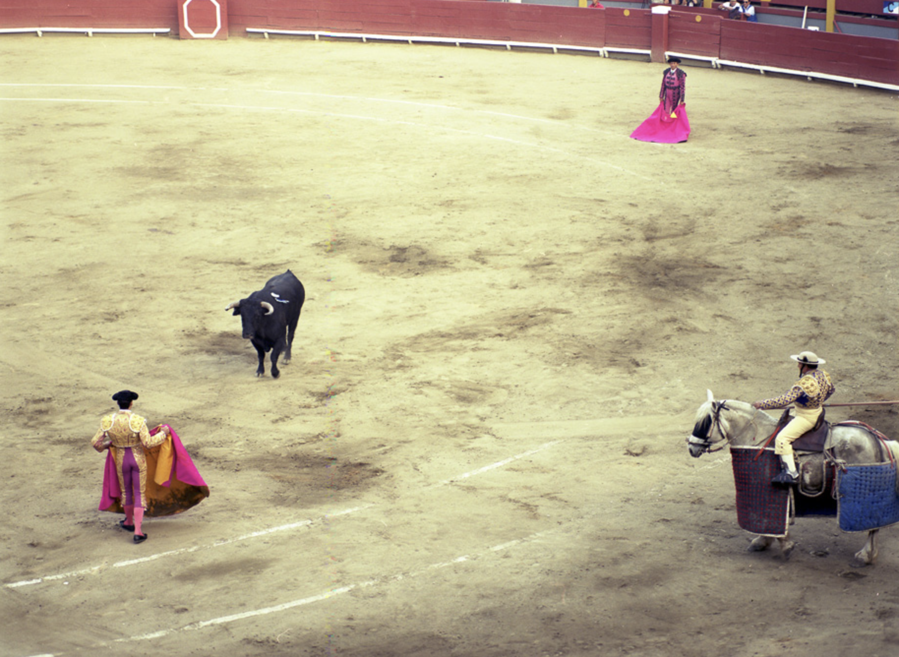 Screenshot 2026-02-12 at 3.10.27 PM.png