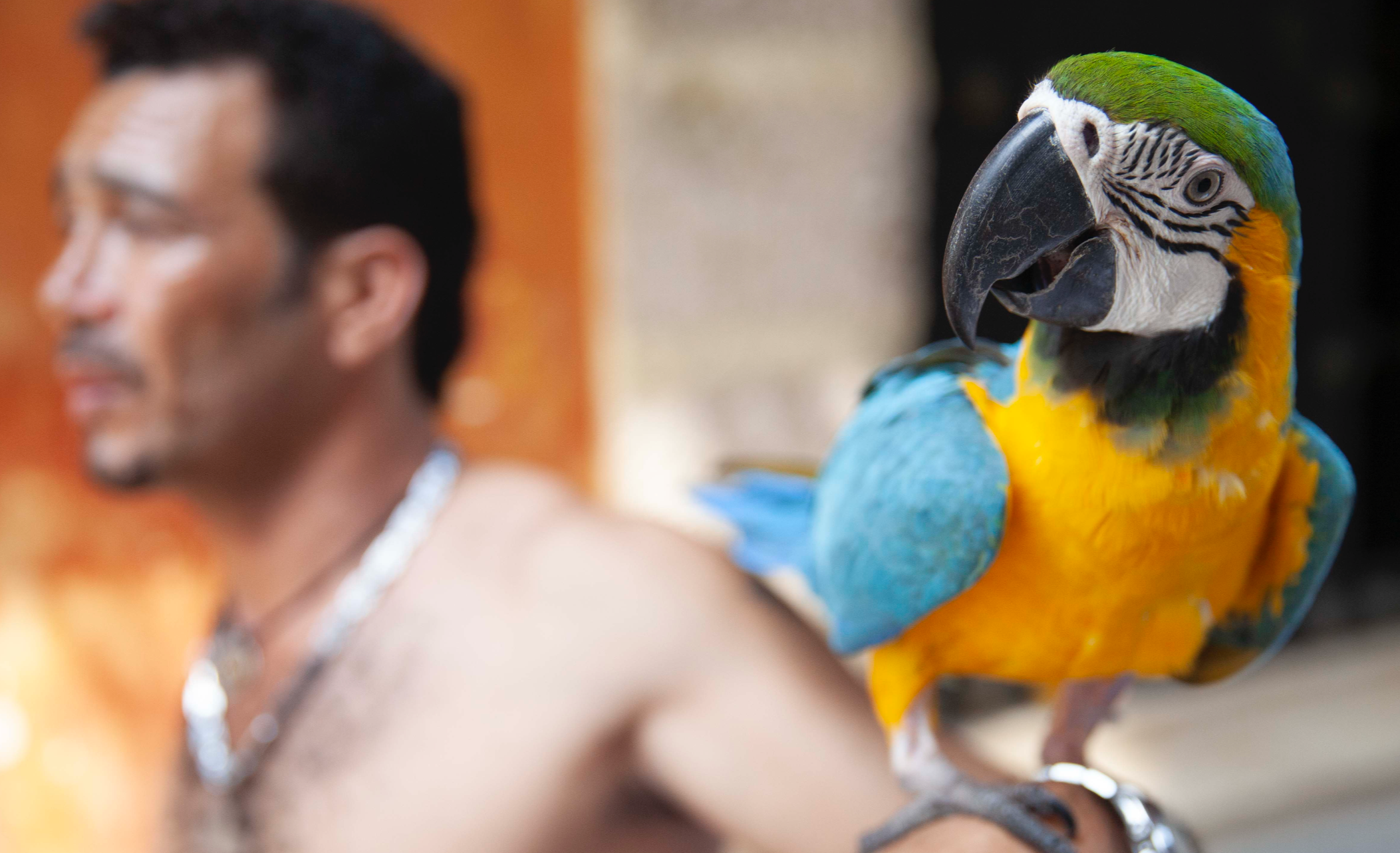 Screenshot 2026-03-01 at 3.10.45 PM.png