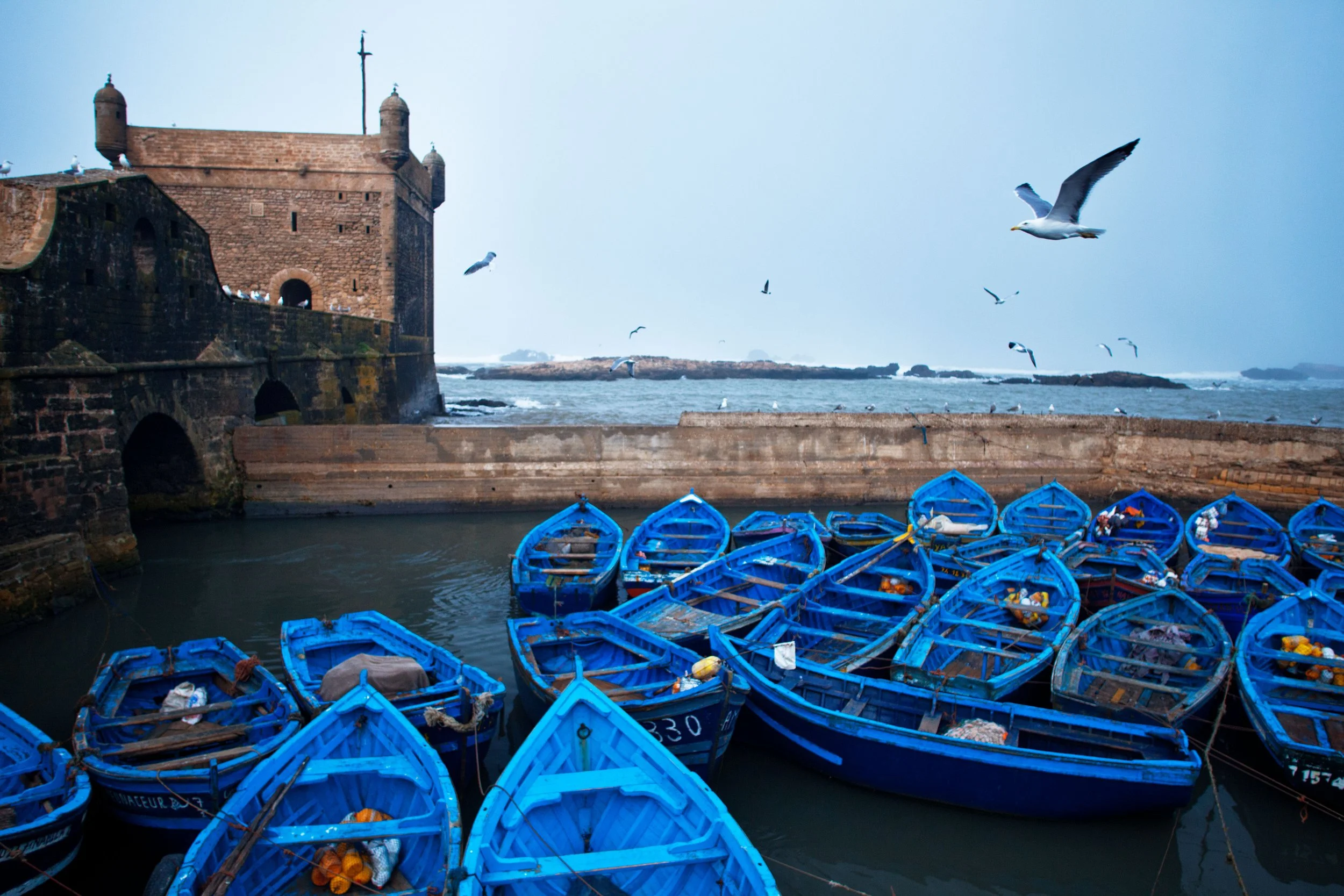 Essaouira_309.jpg