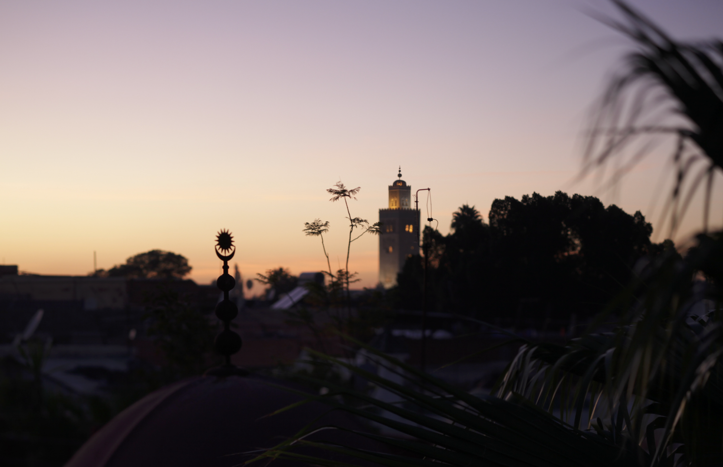 Screenshot 2026-02-12 at 3.02.37 PM.png