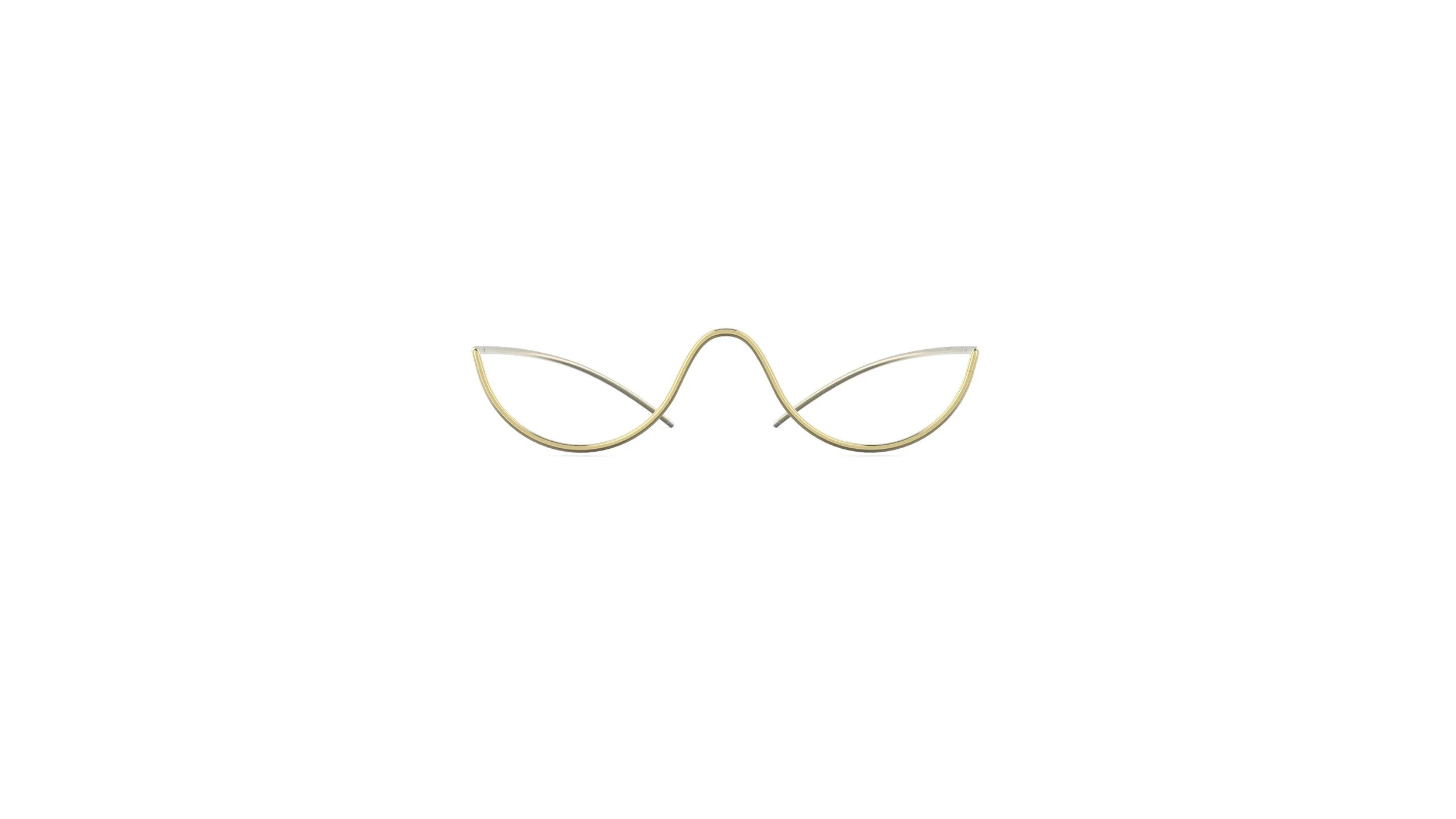 19.wire gold shiny 3.jpg