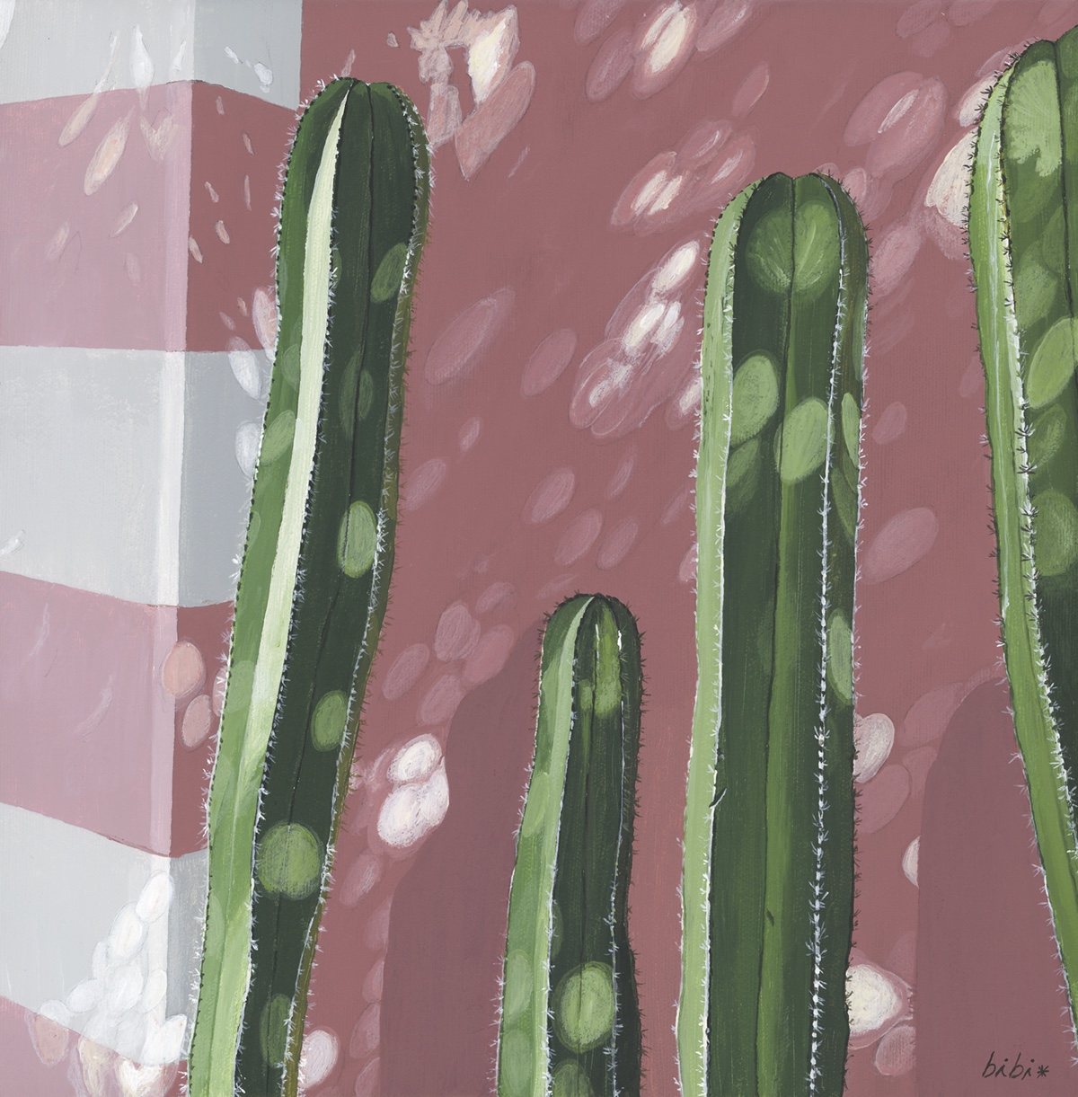 quatre cactus