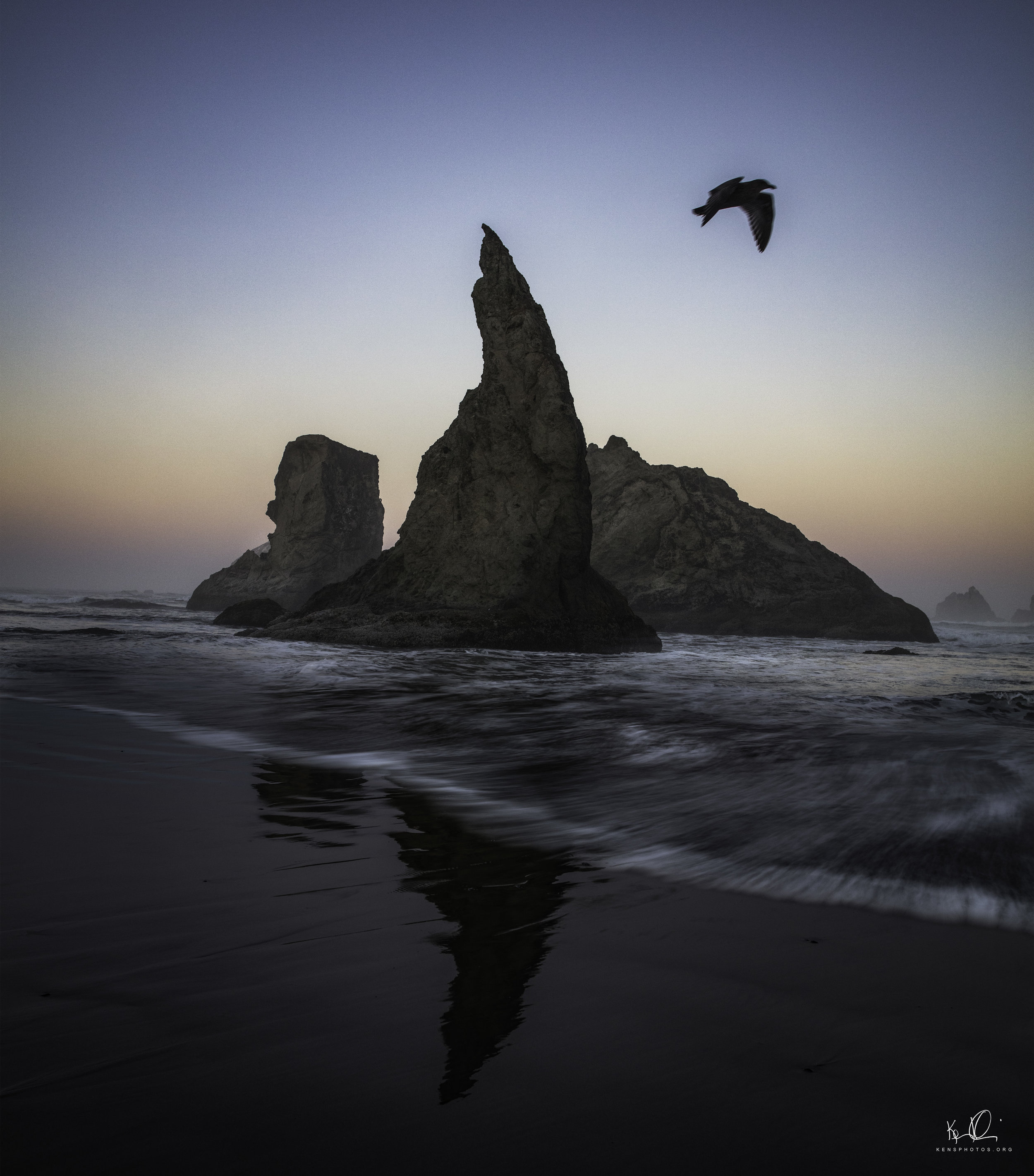   OREGON.   SEA STACKS.  NICE OF THAT BIRD TO HAPPEN TO FLY BYE…NOT.  I WAITED A HALF HOUR FOR HIM TO FLY IN THE RIGHT SPOT. 