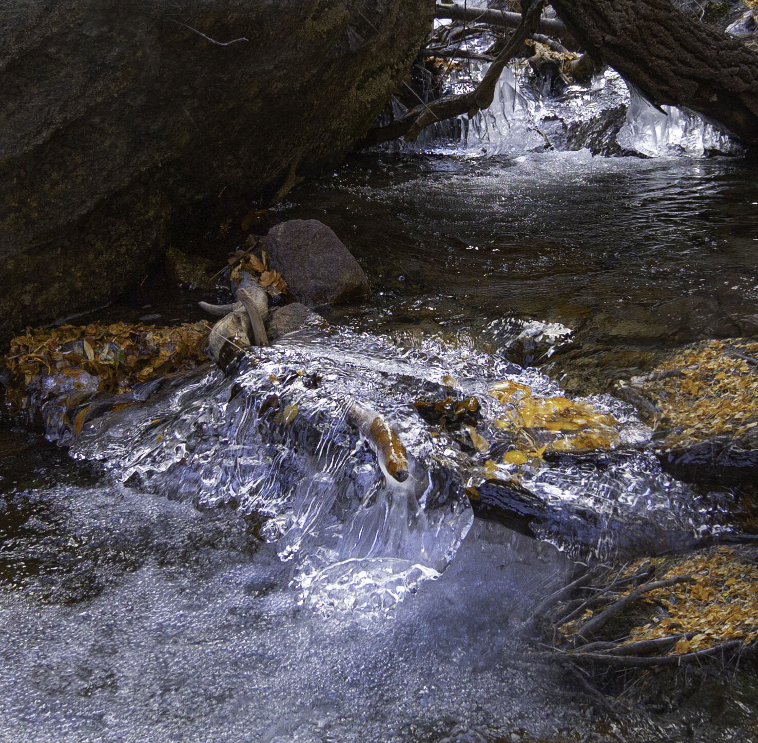   NEAR LONE PINE, CALIFORNIA.   Wanted to take photo of  nearby waterfall.  It was iced over but this spot caught my eye.  