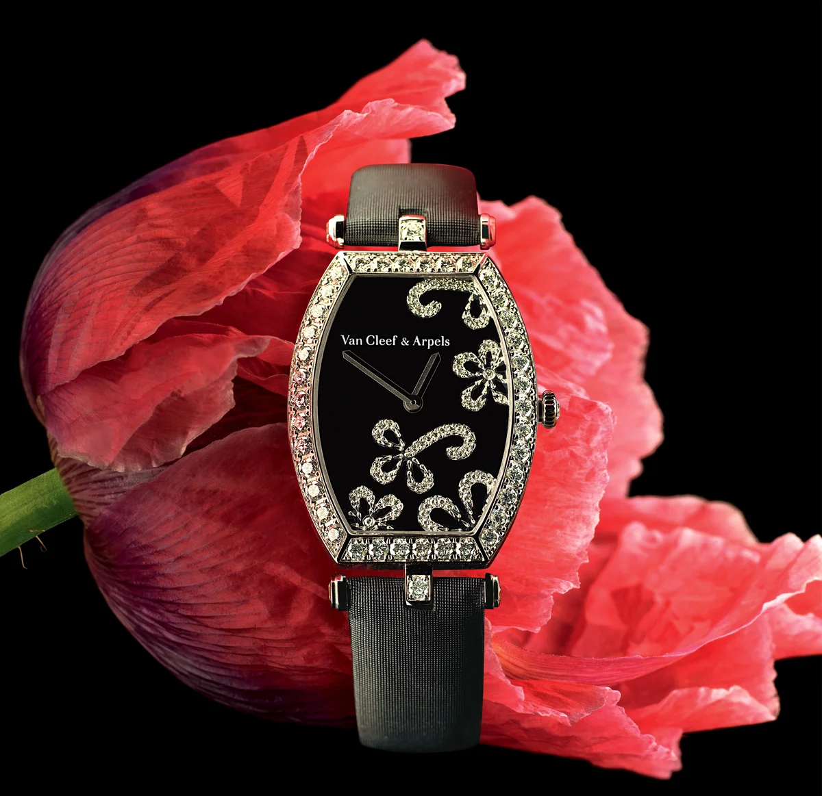 N-¦34-Van Cleef.jpg