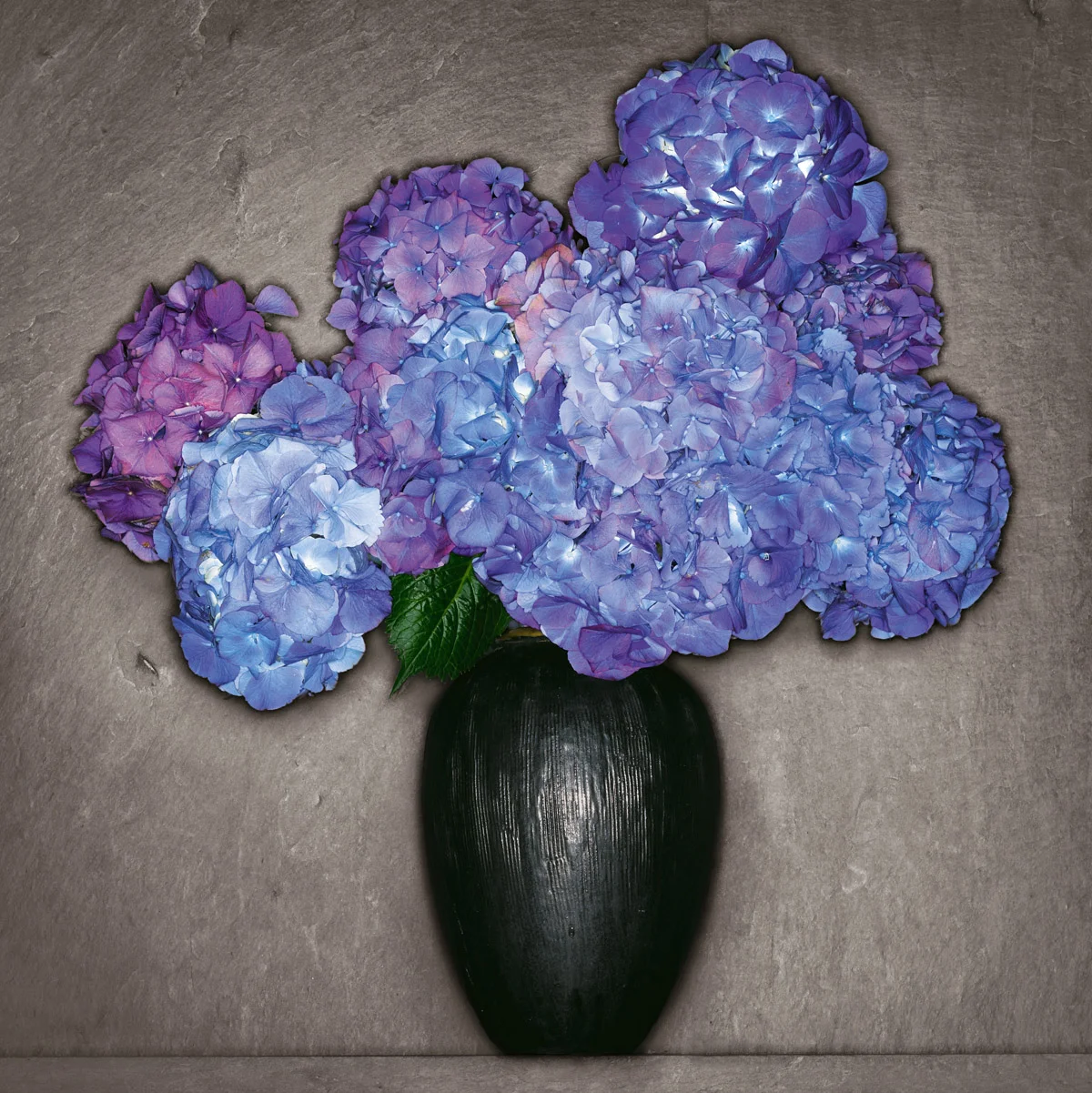 30-Fleurs 21-W.jpg