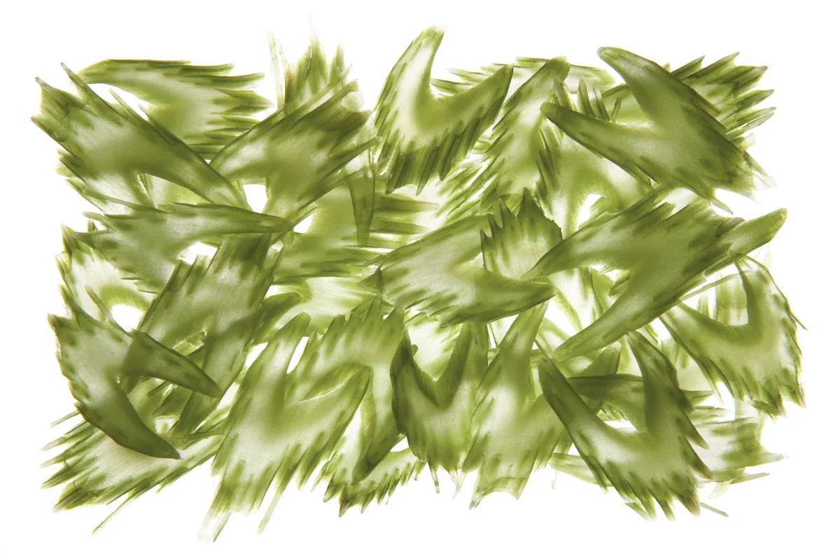 N-¦2 Vibration.jpg