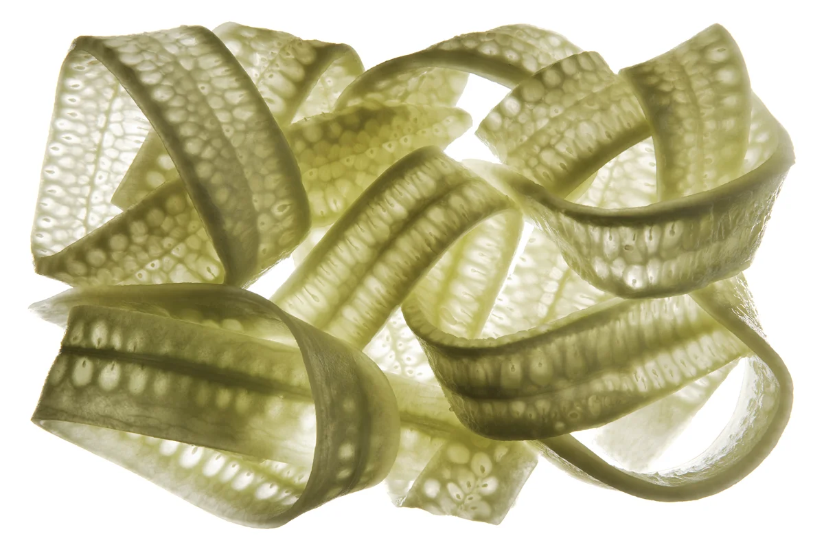 N-¦9 Twist.jpg