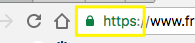 browser_lock_icon.png