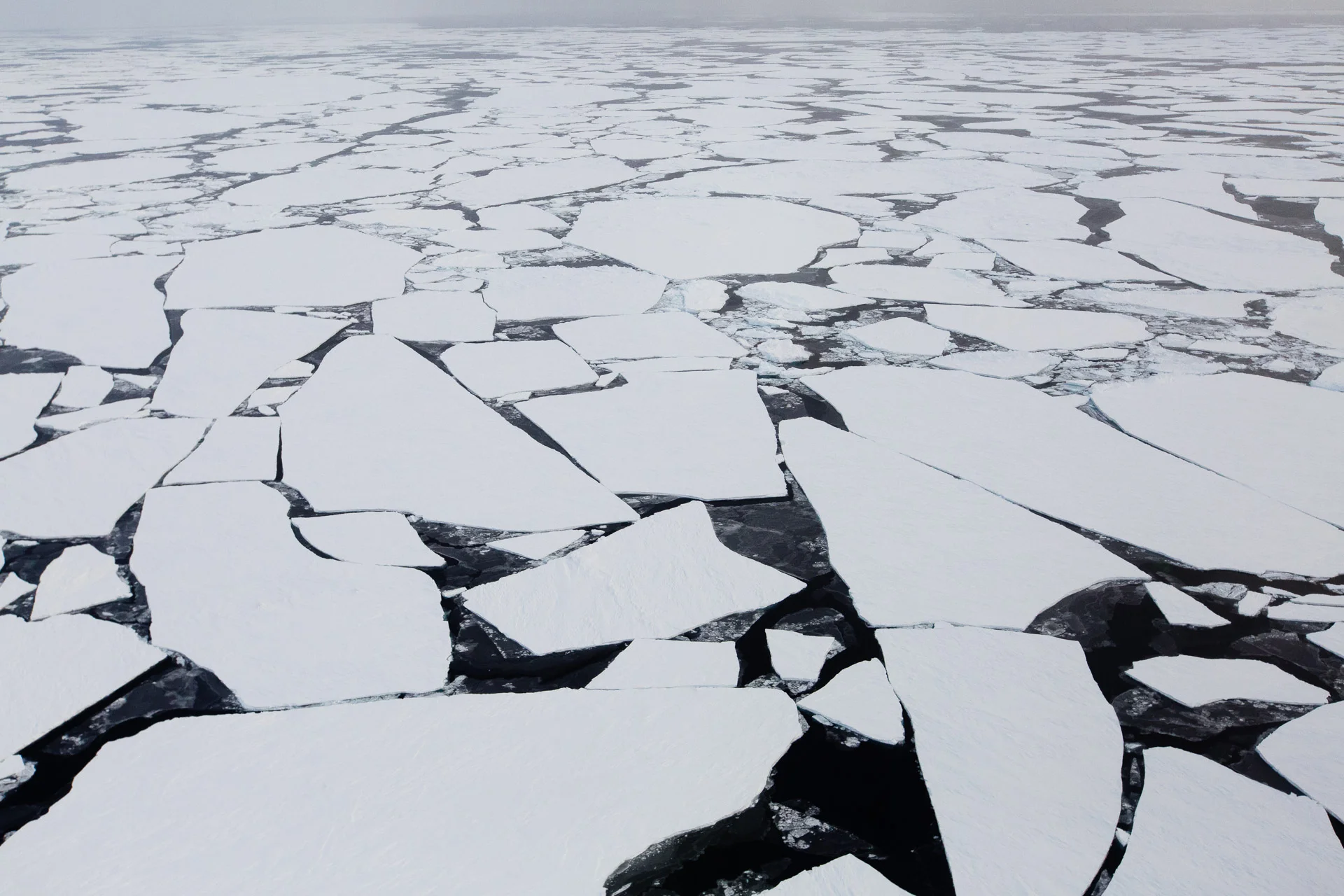 Broken floes of Arctic sea ice photographed north of Svalbard