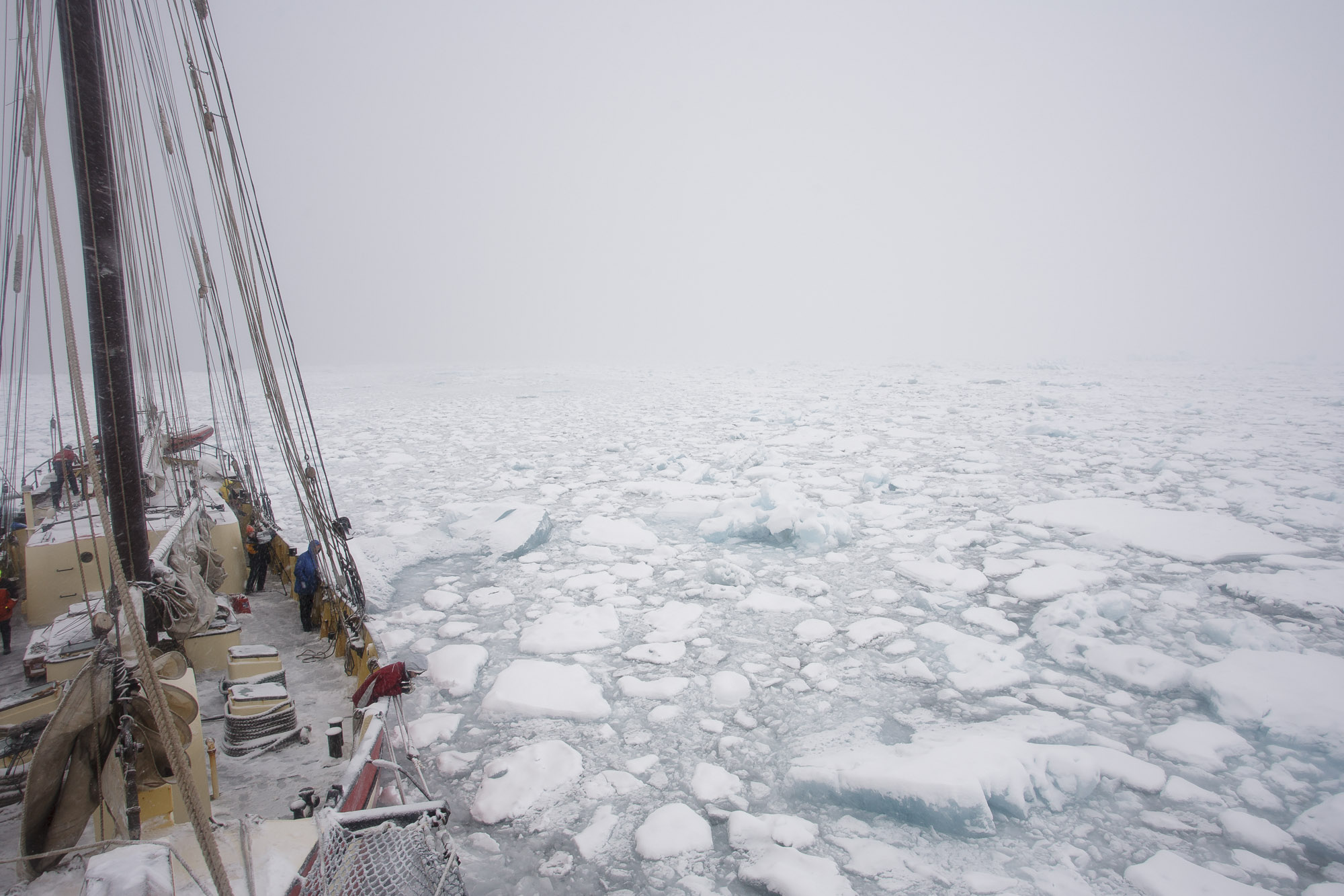 Noorderlicht in sea ice