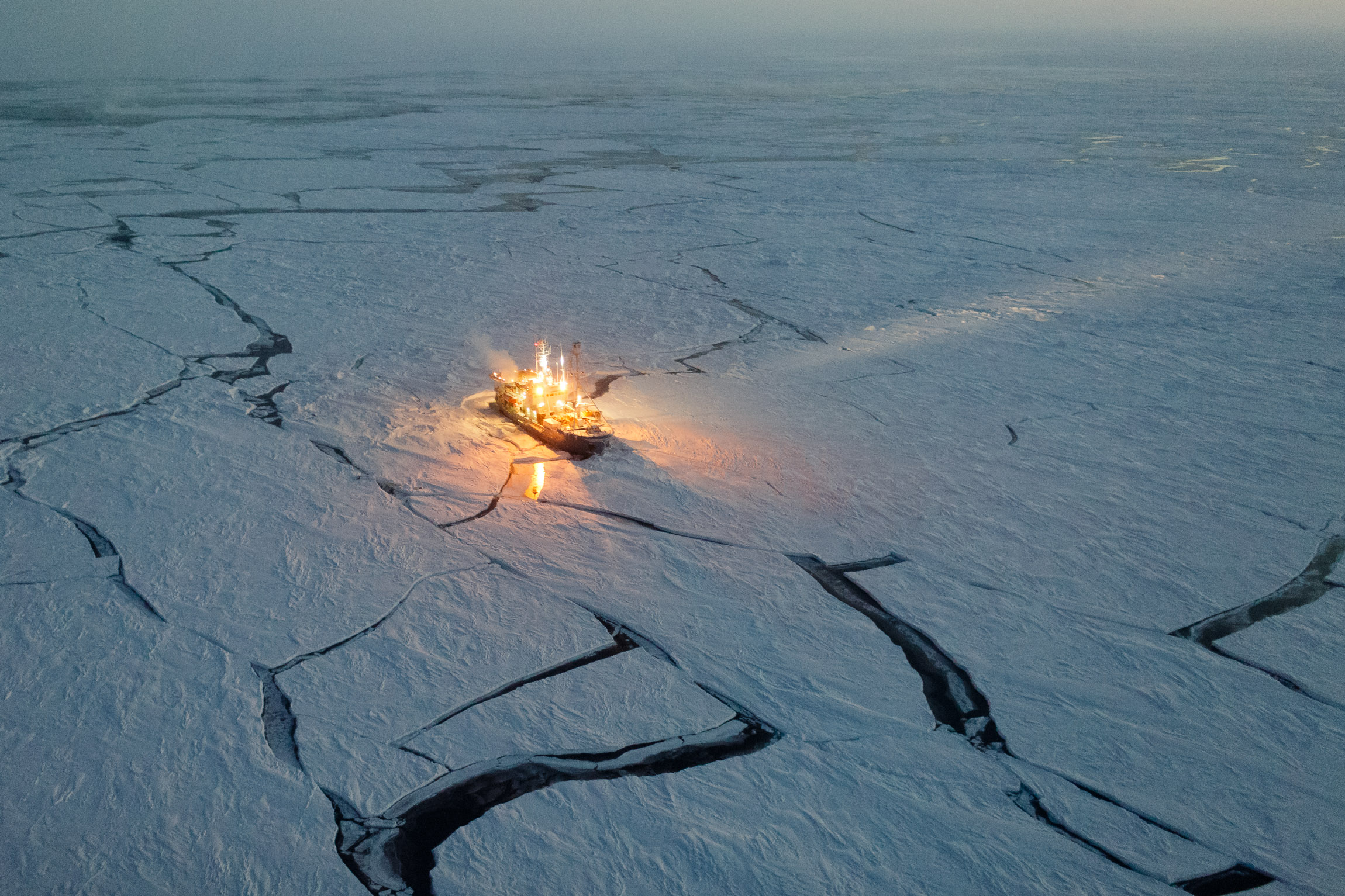 Lance in sea ice