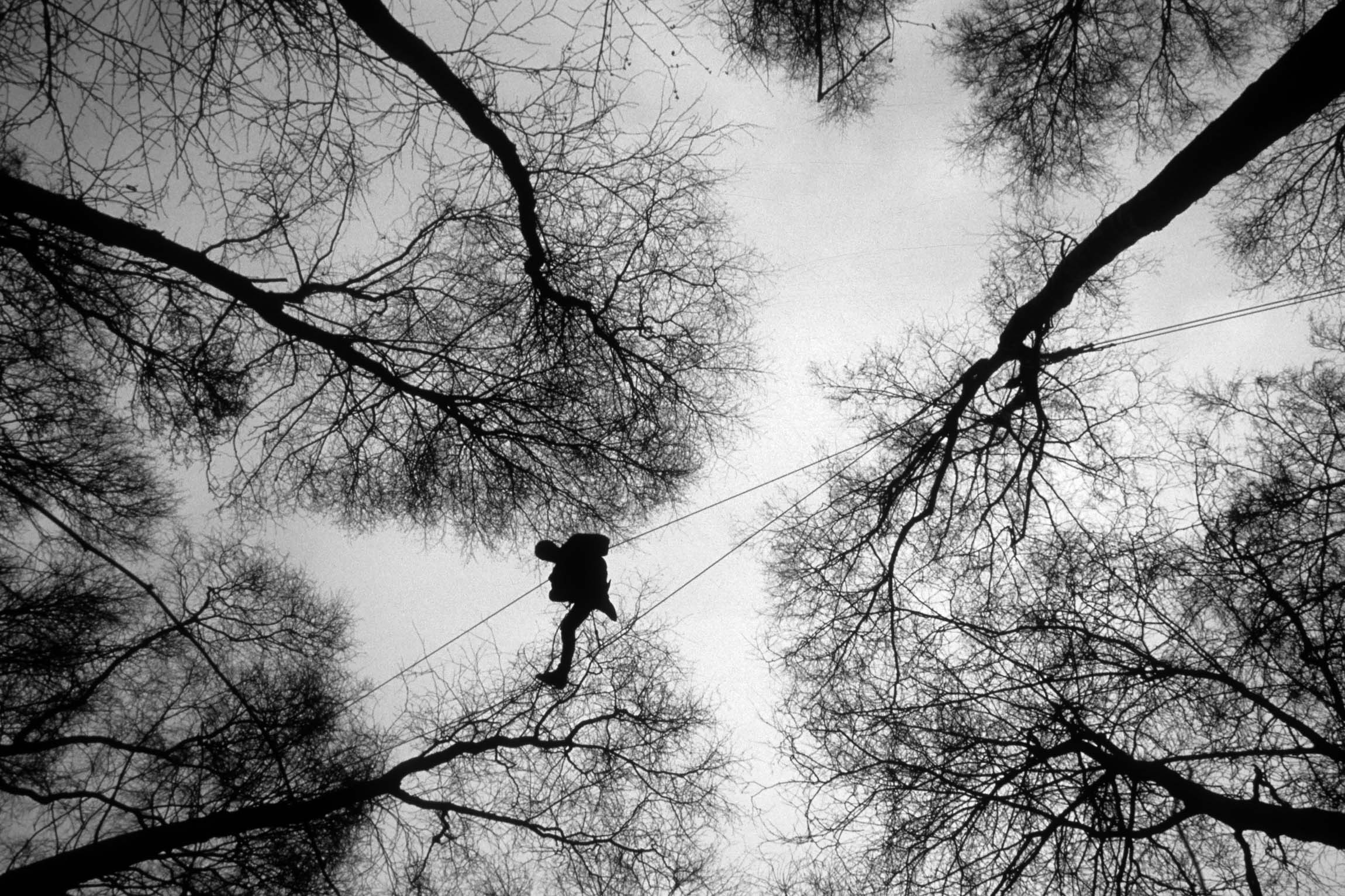 Protester on aerial walkway between trees