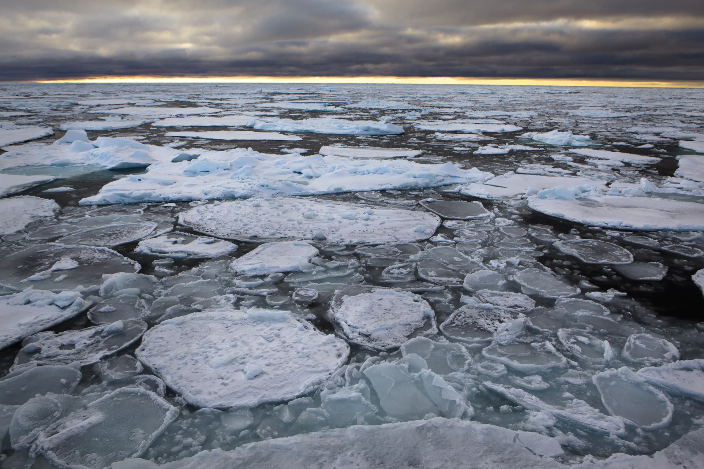 pancake-ice-forming-on-the-arctic-ocean