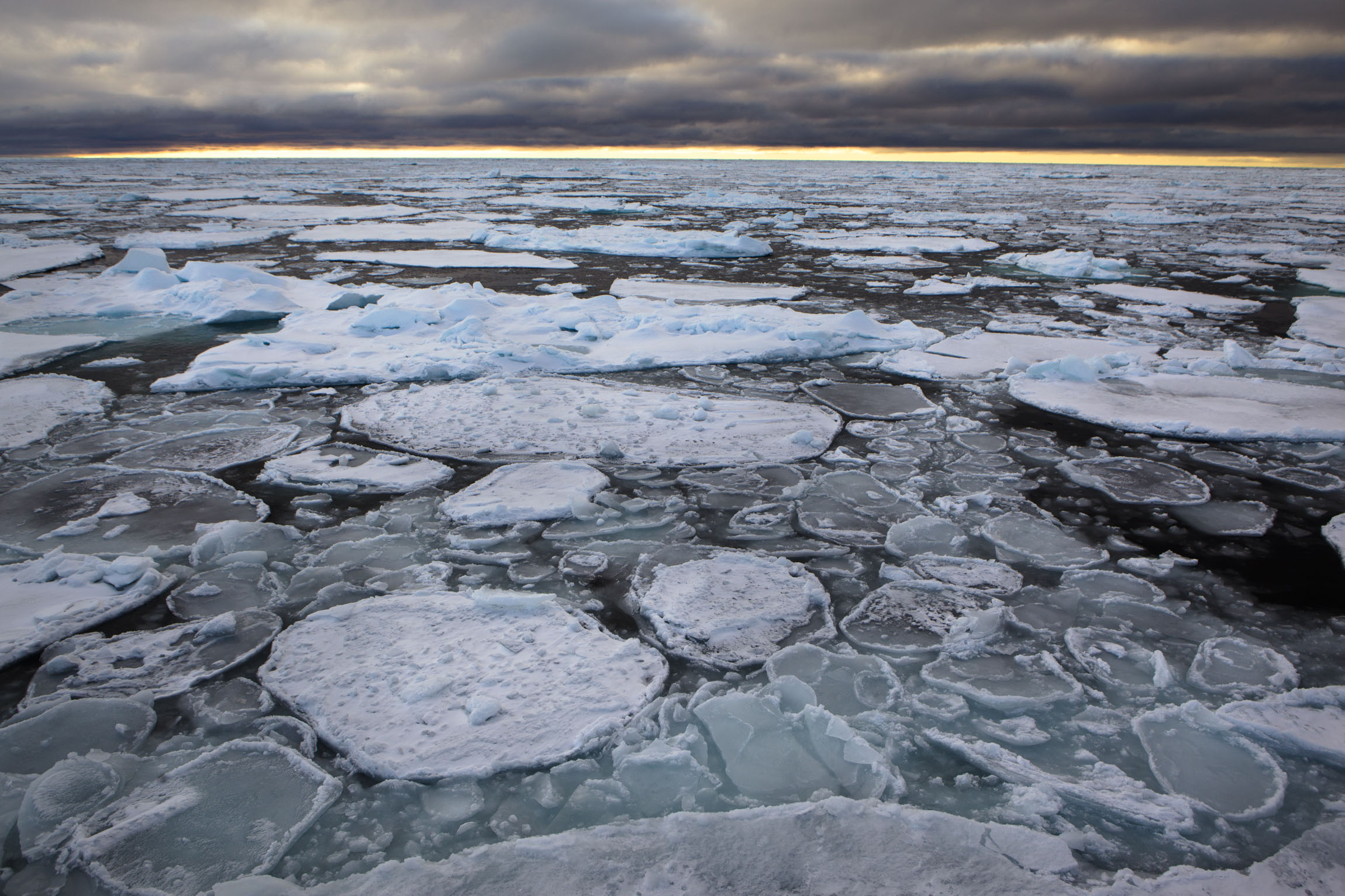 Мелкий лед на воде. Ледяной Покров Баренцева моря. Таяние льда. Во льдах Арктики. Лед растаял.