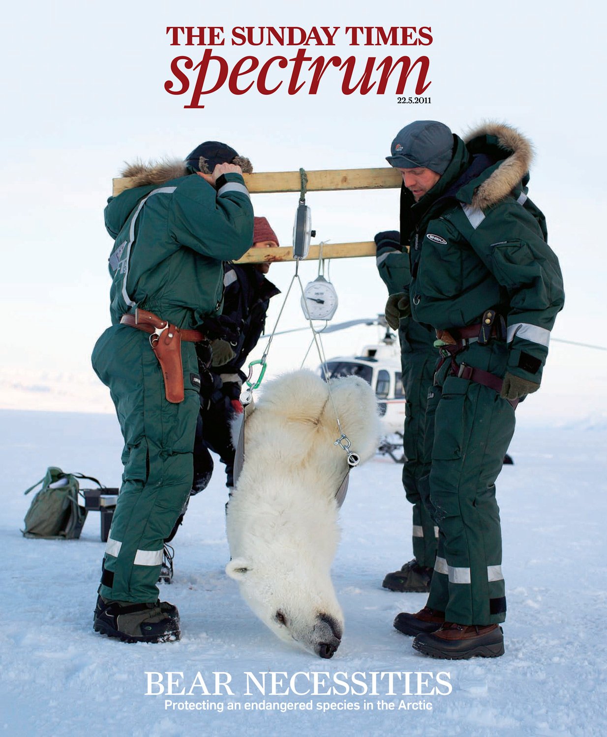 Polar bear story in Sunday Times Magazine