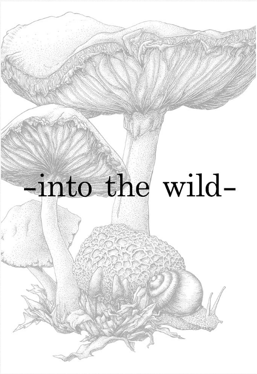 Into the Wild Image.png