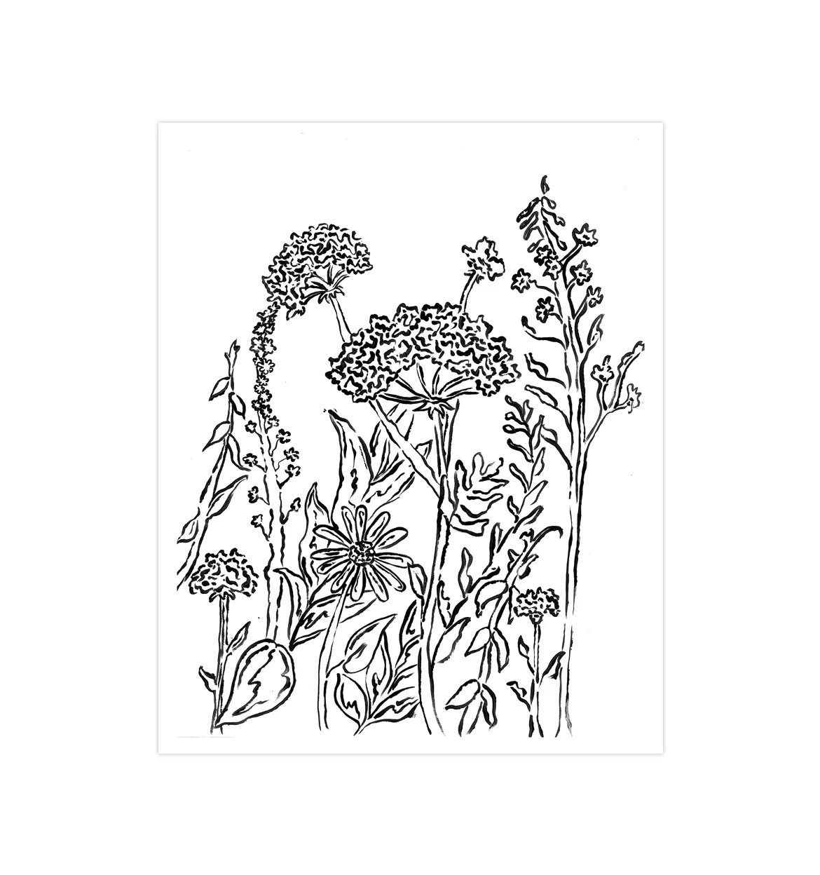 BrushBotanical-2WebsiteTemplate.jpg