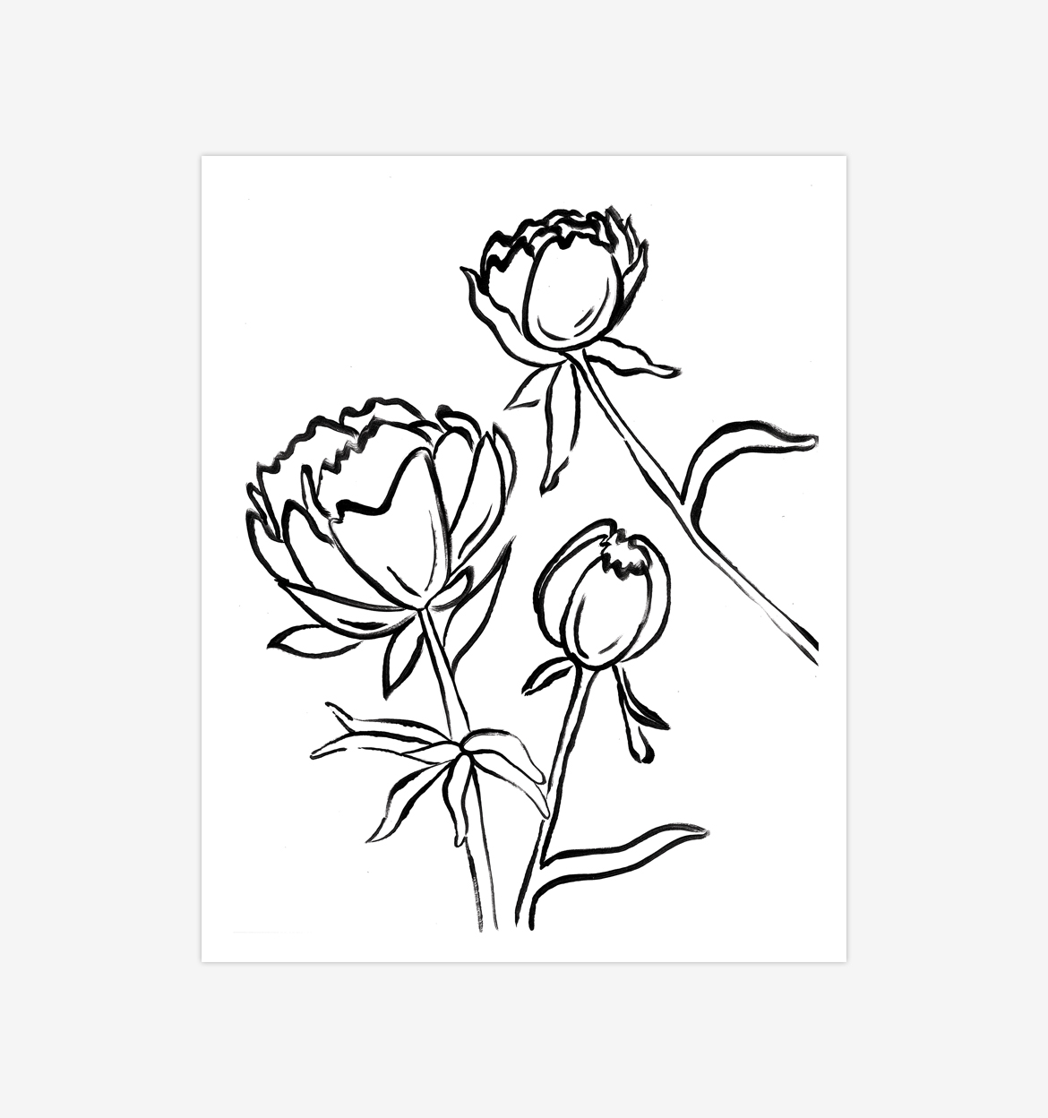 Botanical 03