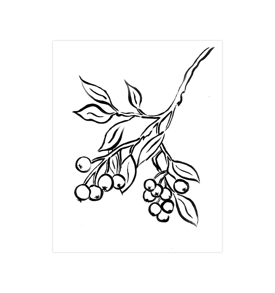 BrushBotanical-4WebsiteTemplate.jpg