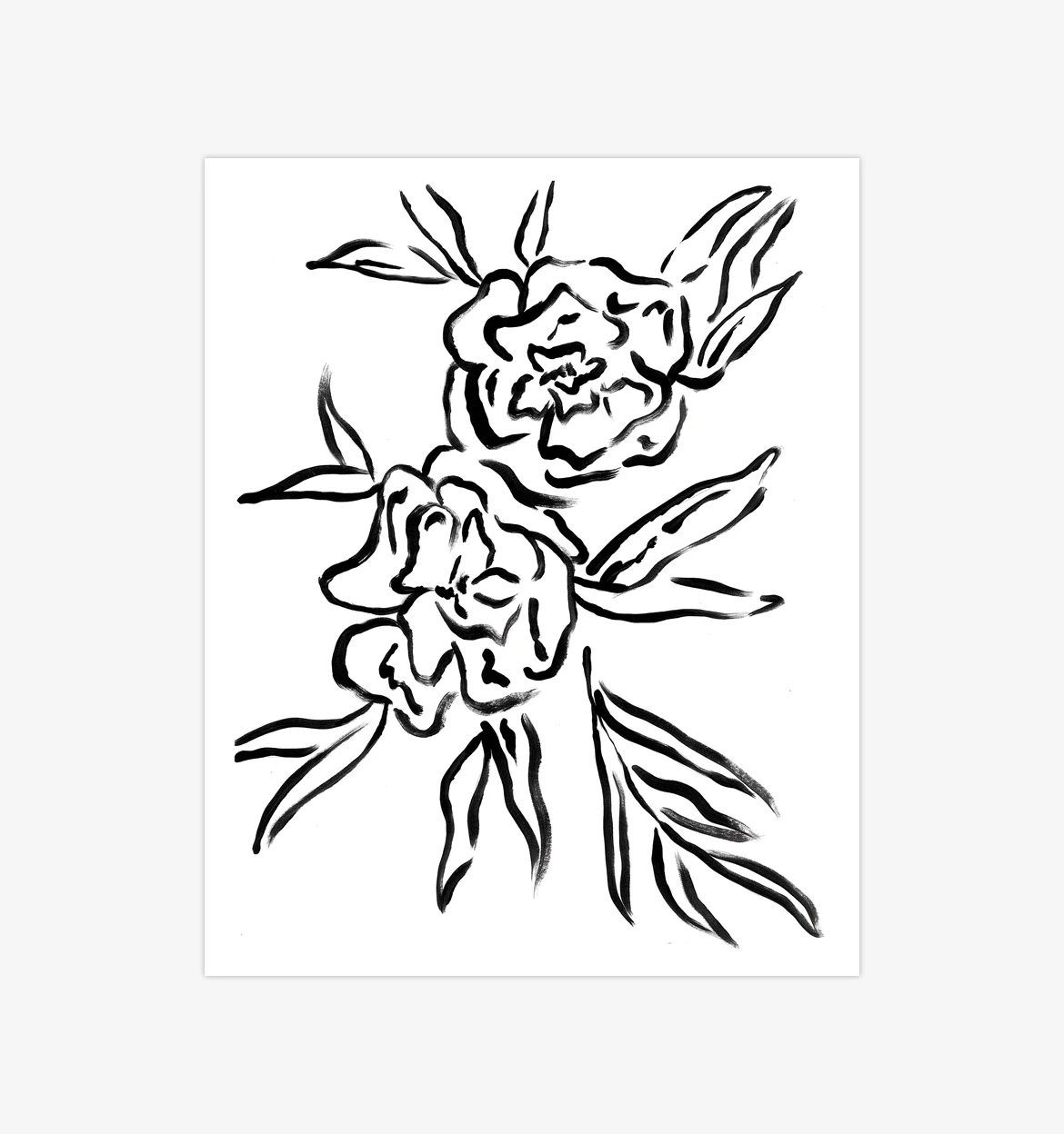 Botanical 07