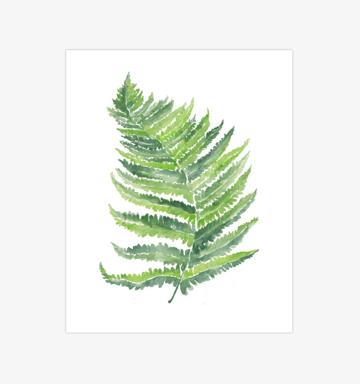 Green 01
