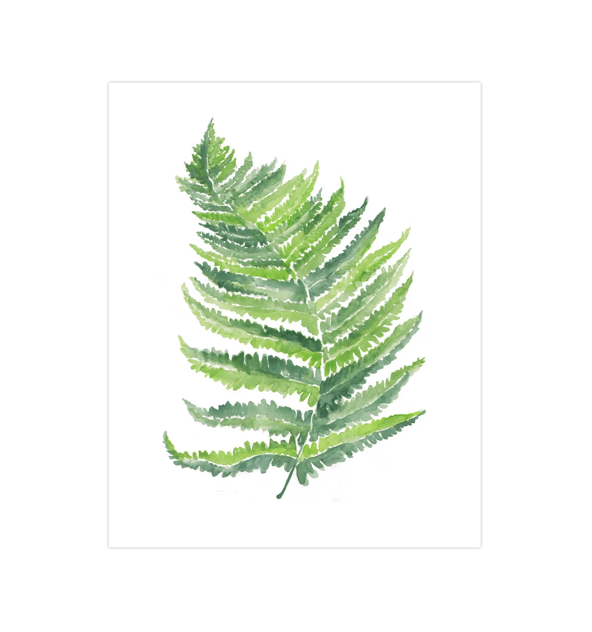 Green01_WebsiteTemplateW.jpg