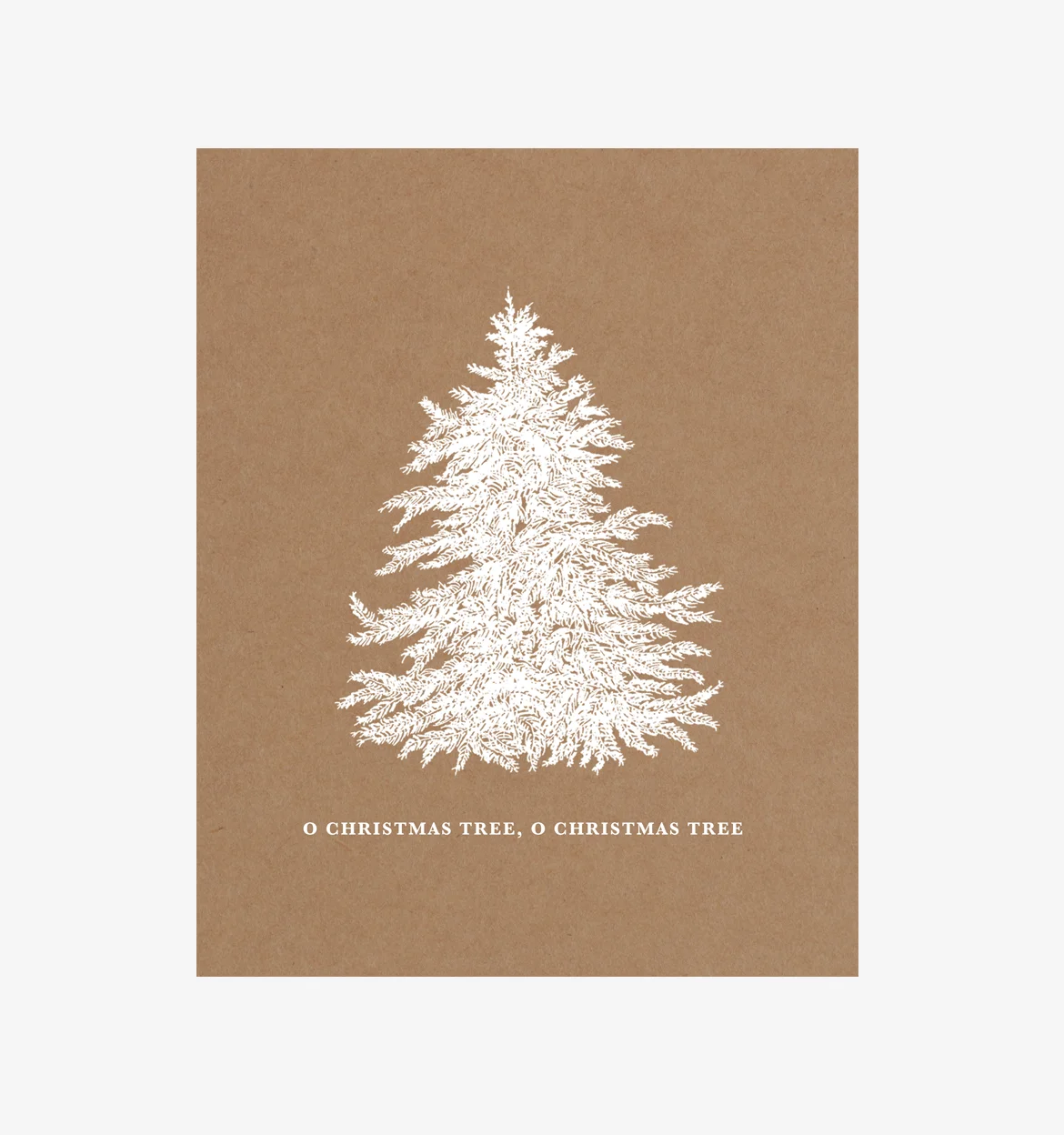 Spruce 03