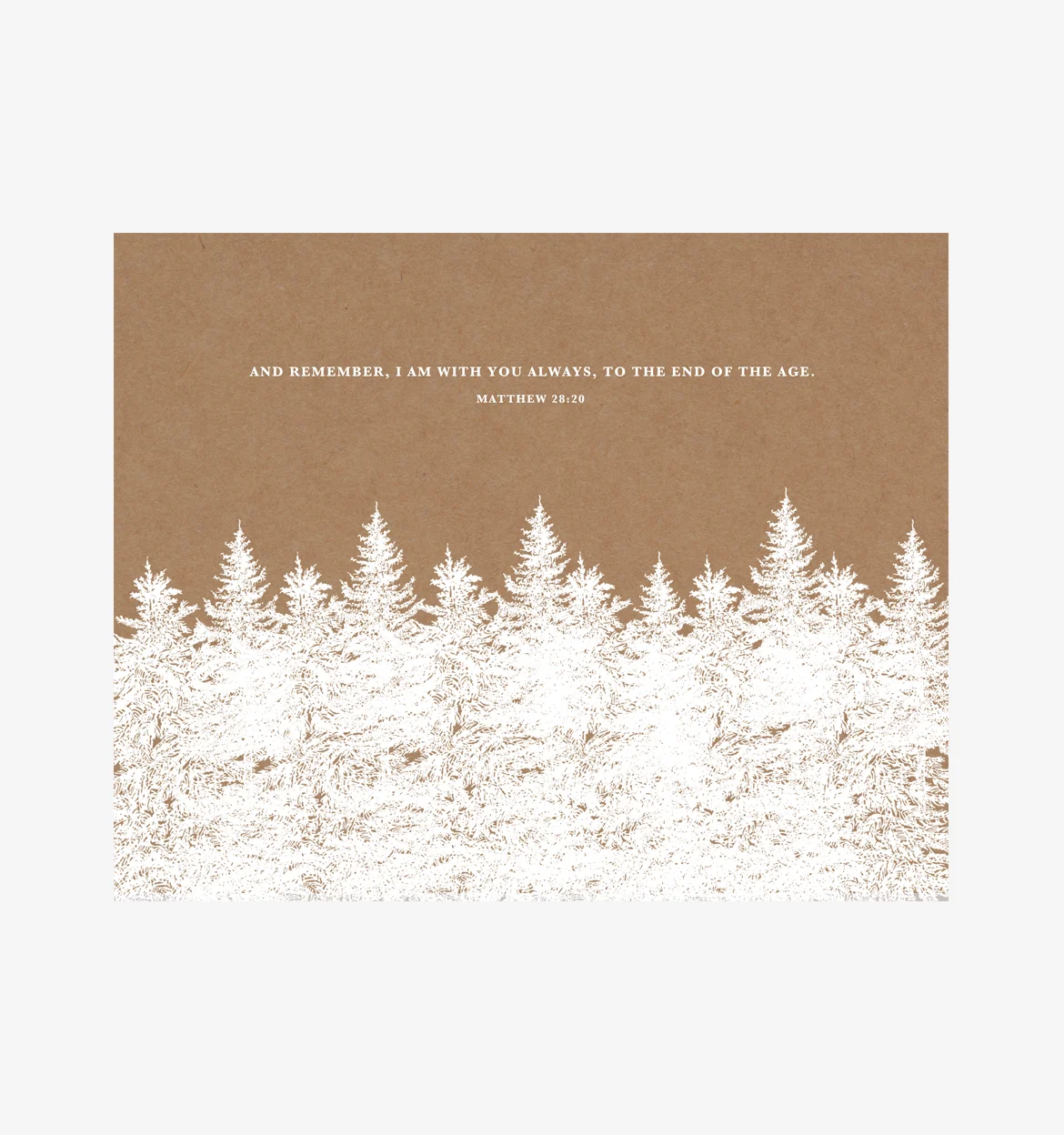 Spruce 04
