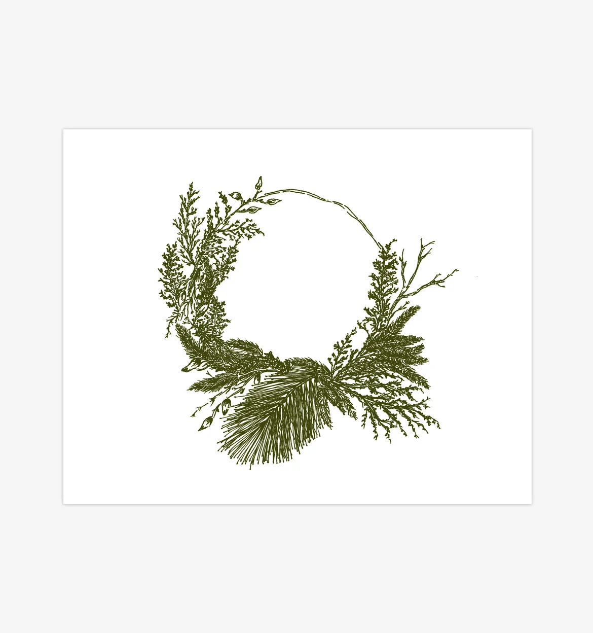 Green Spruce 05