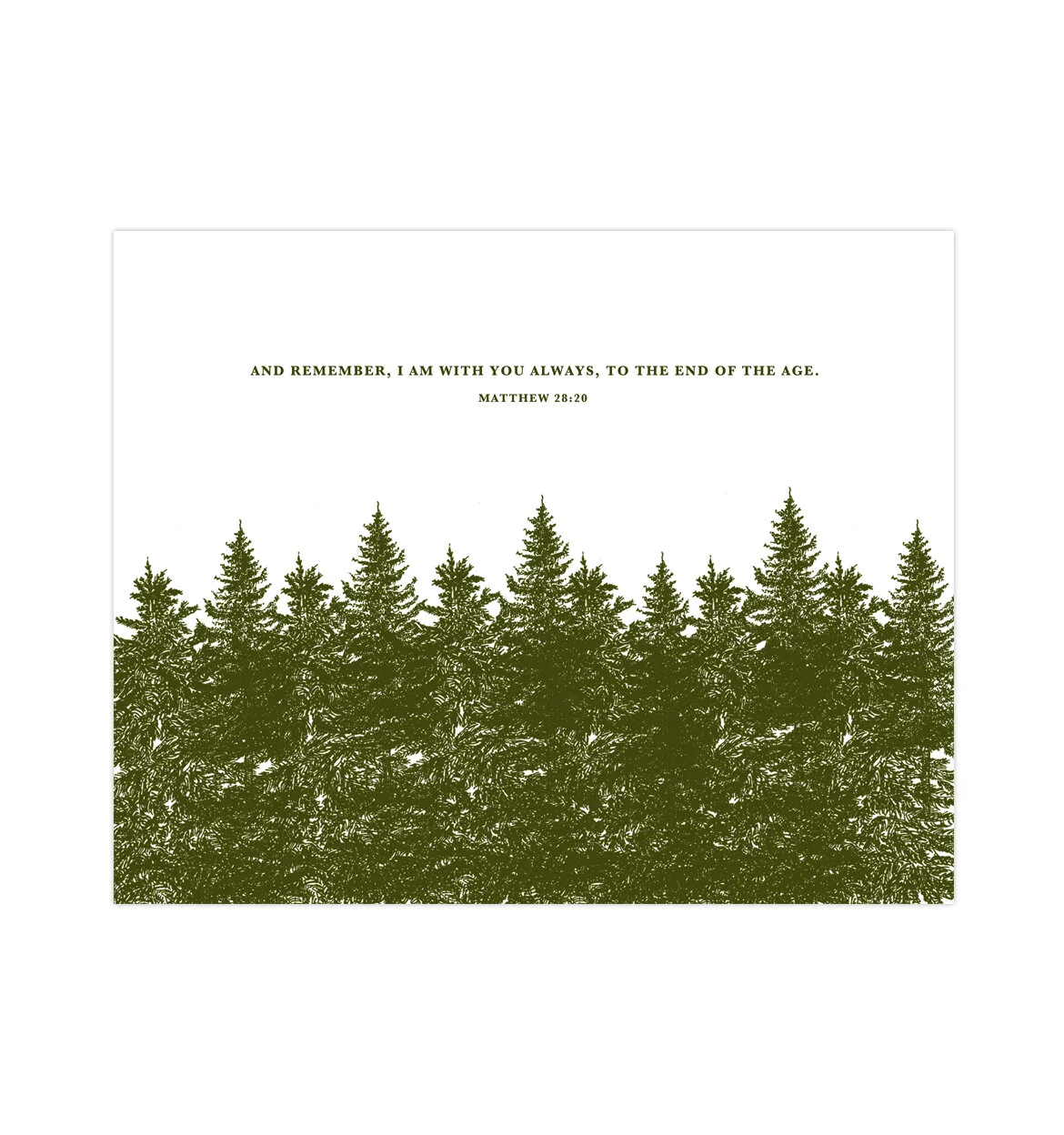 forest-white.jpg