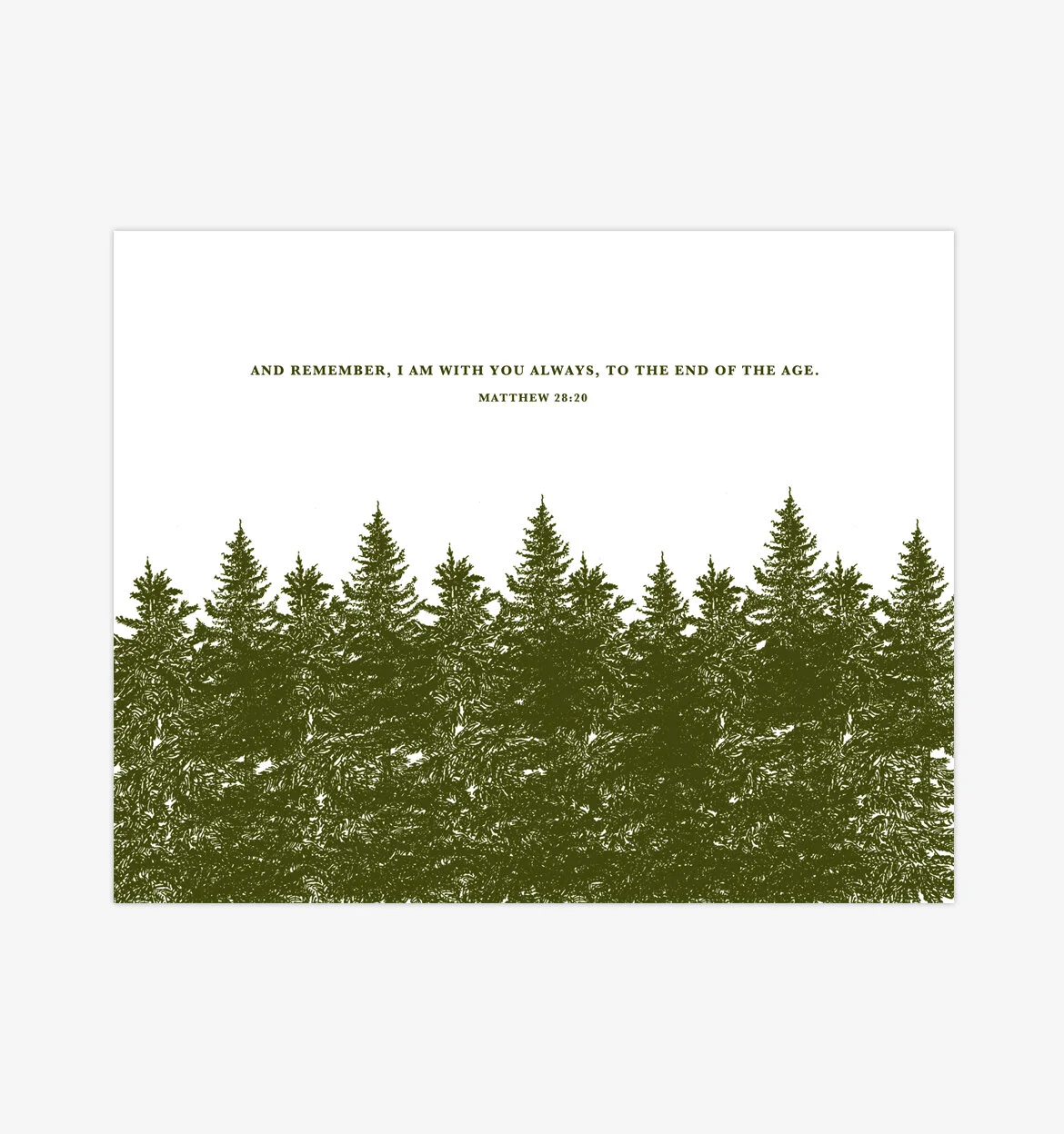 Green Spruce 04