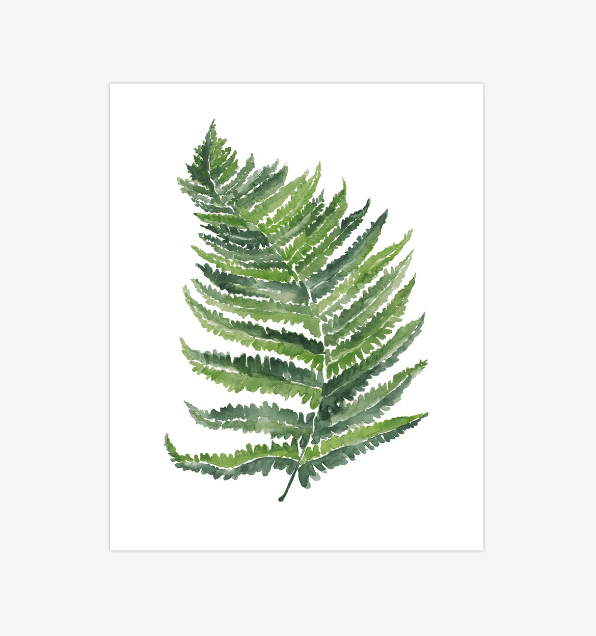Green 01