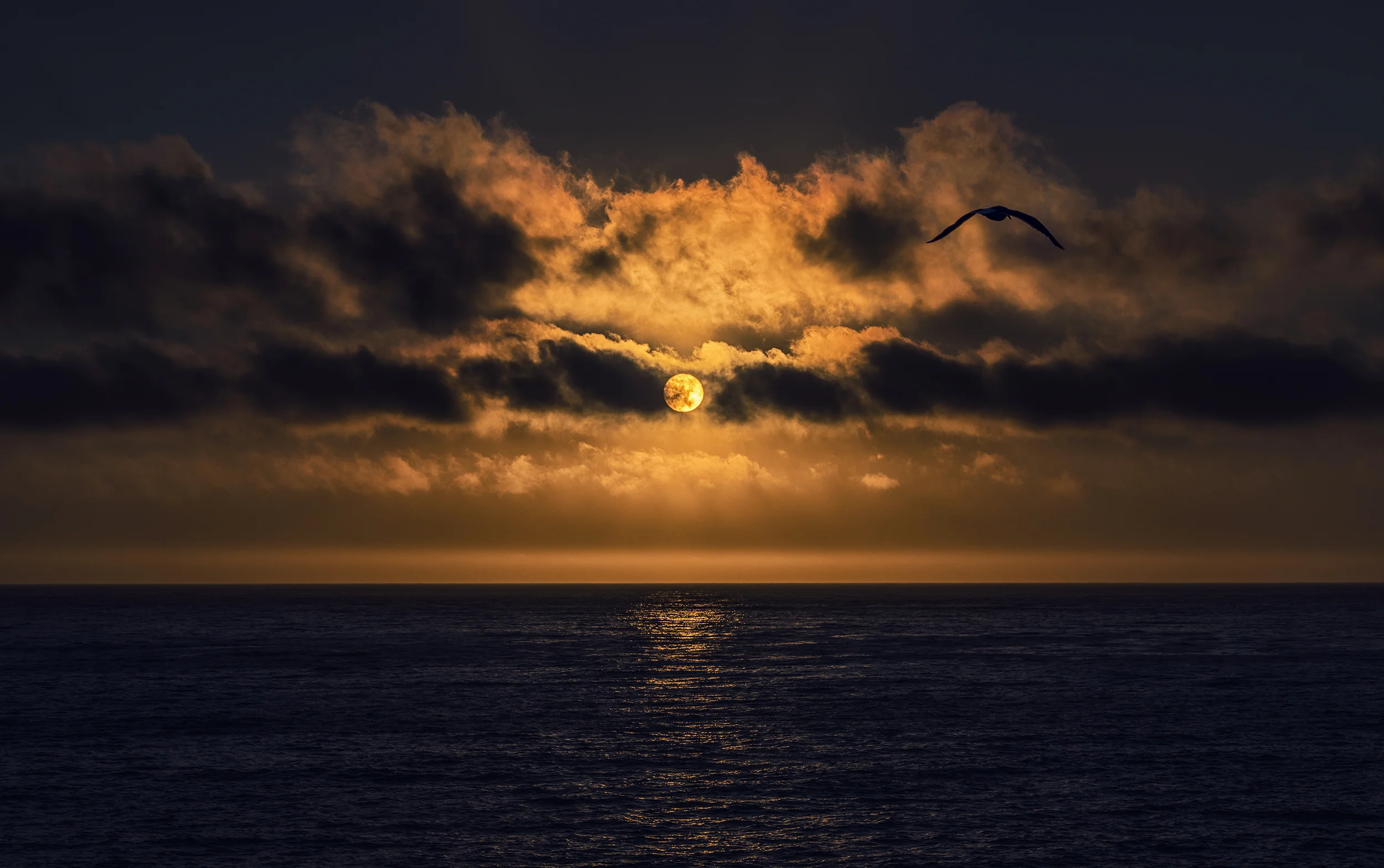 _DSC1049_FX_Lo.jpg