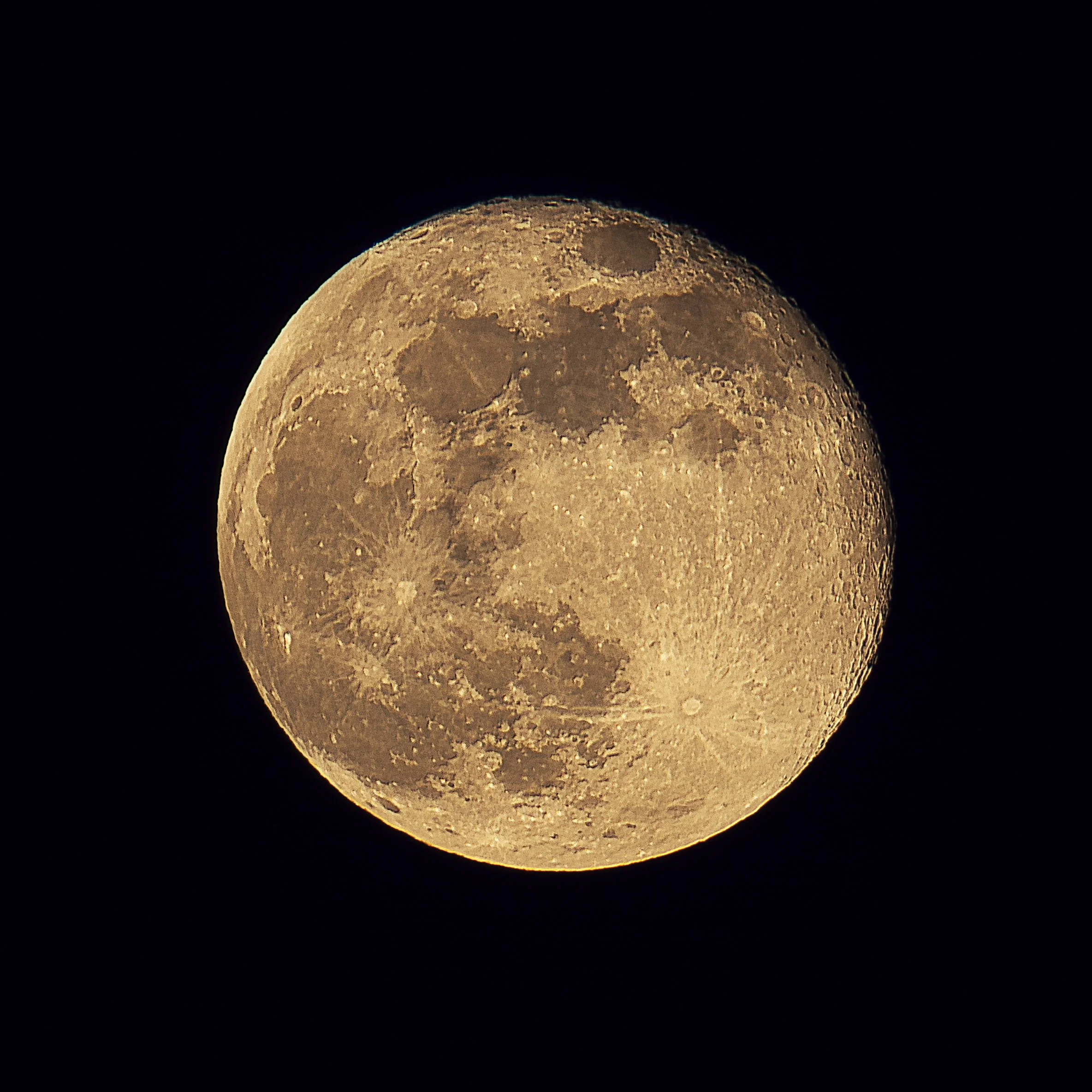 DSC00543_LUM_crop.jpg