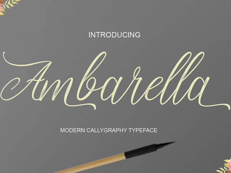 Ambarella