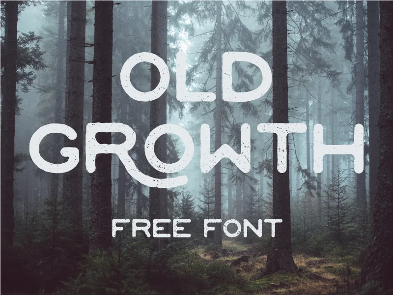 OLD GROWTH