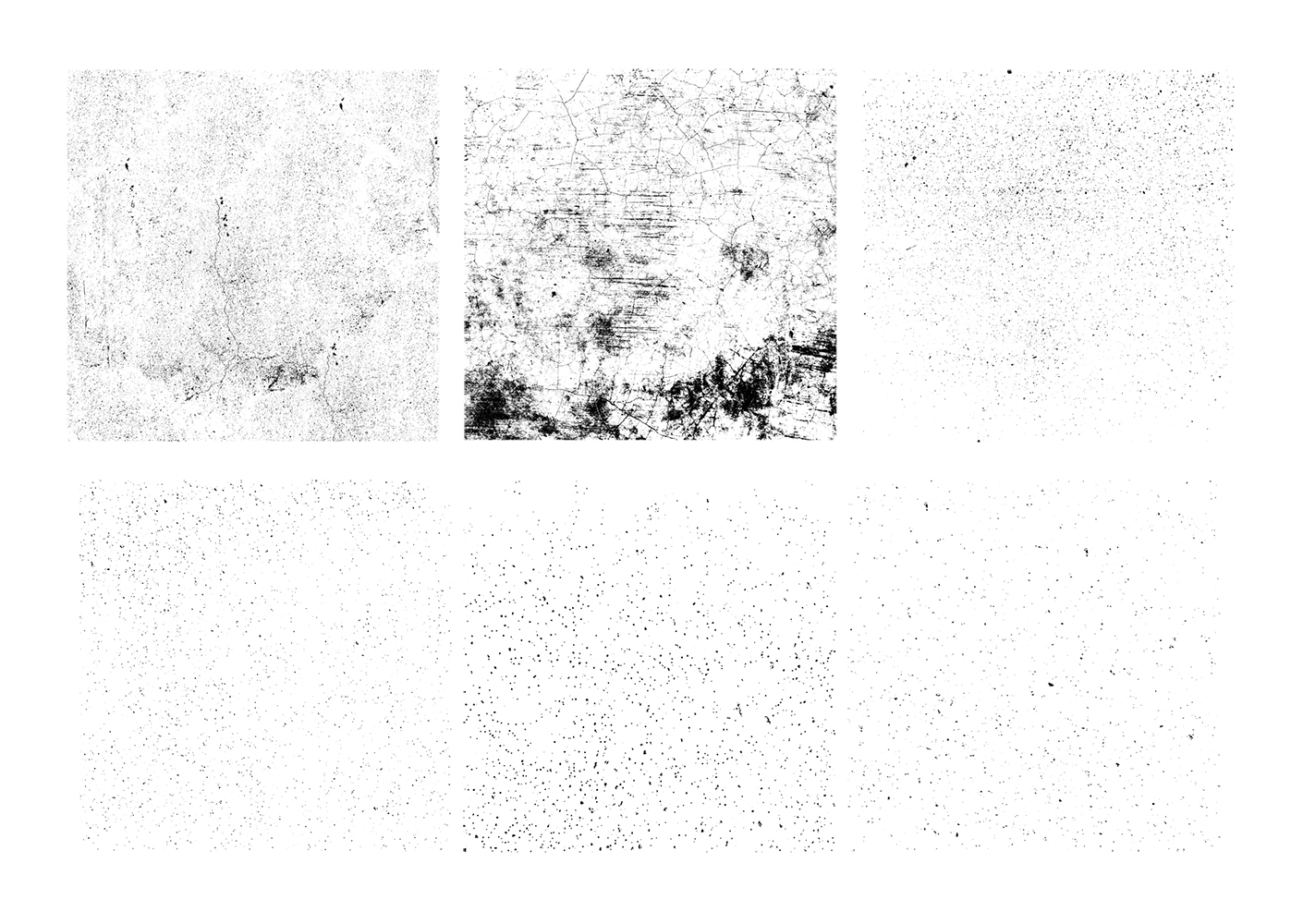 image asset 2