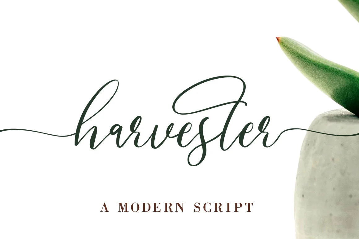 Harvester Script.jpg