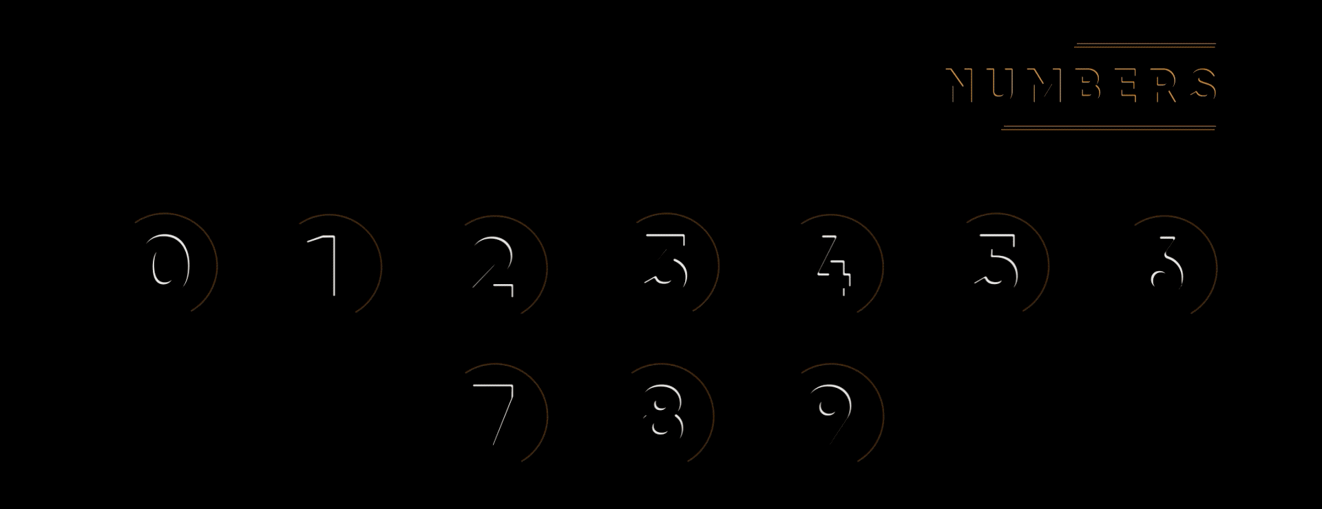 long2.jpg